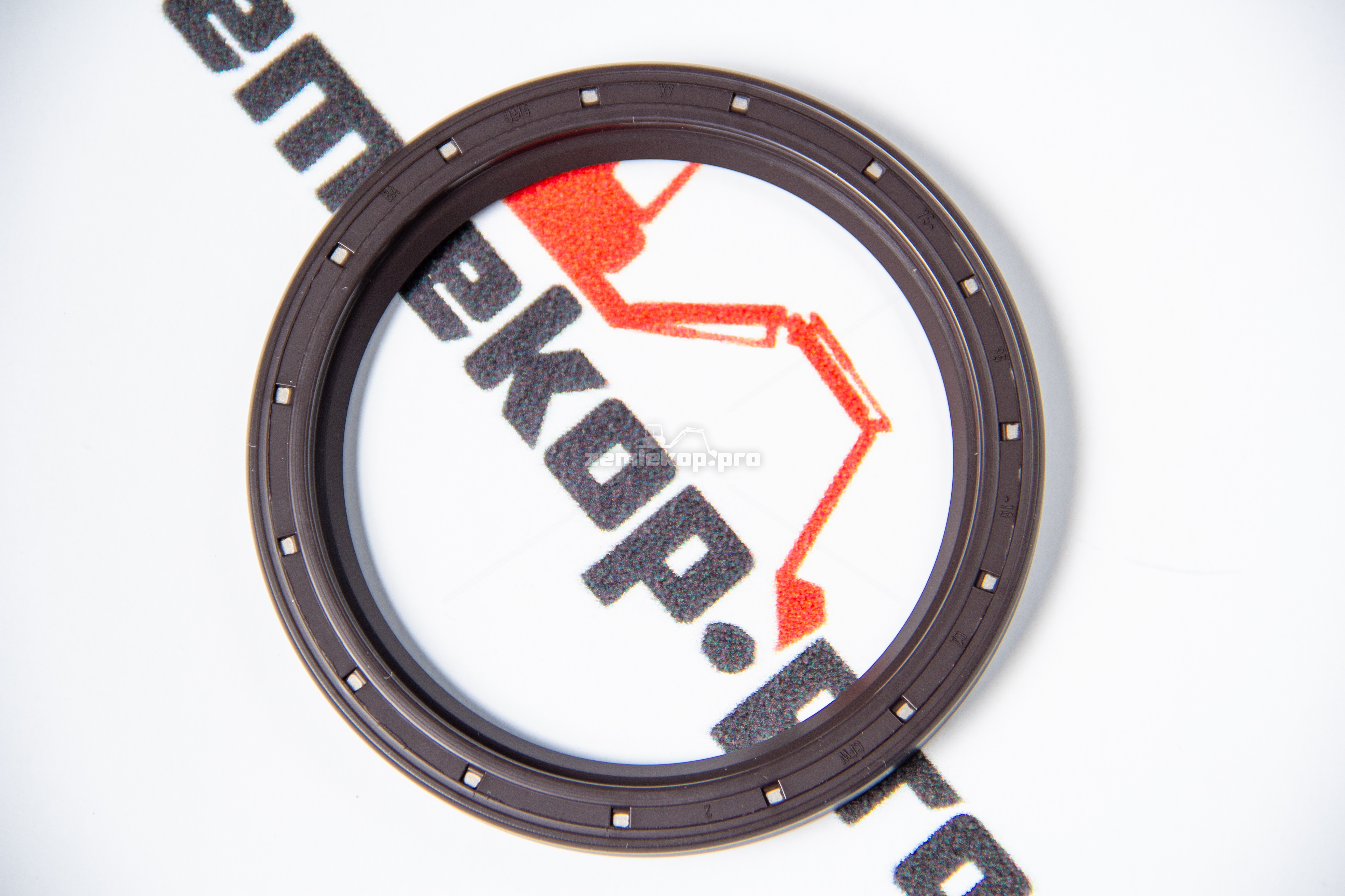 4206492 Сальник DANA