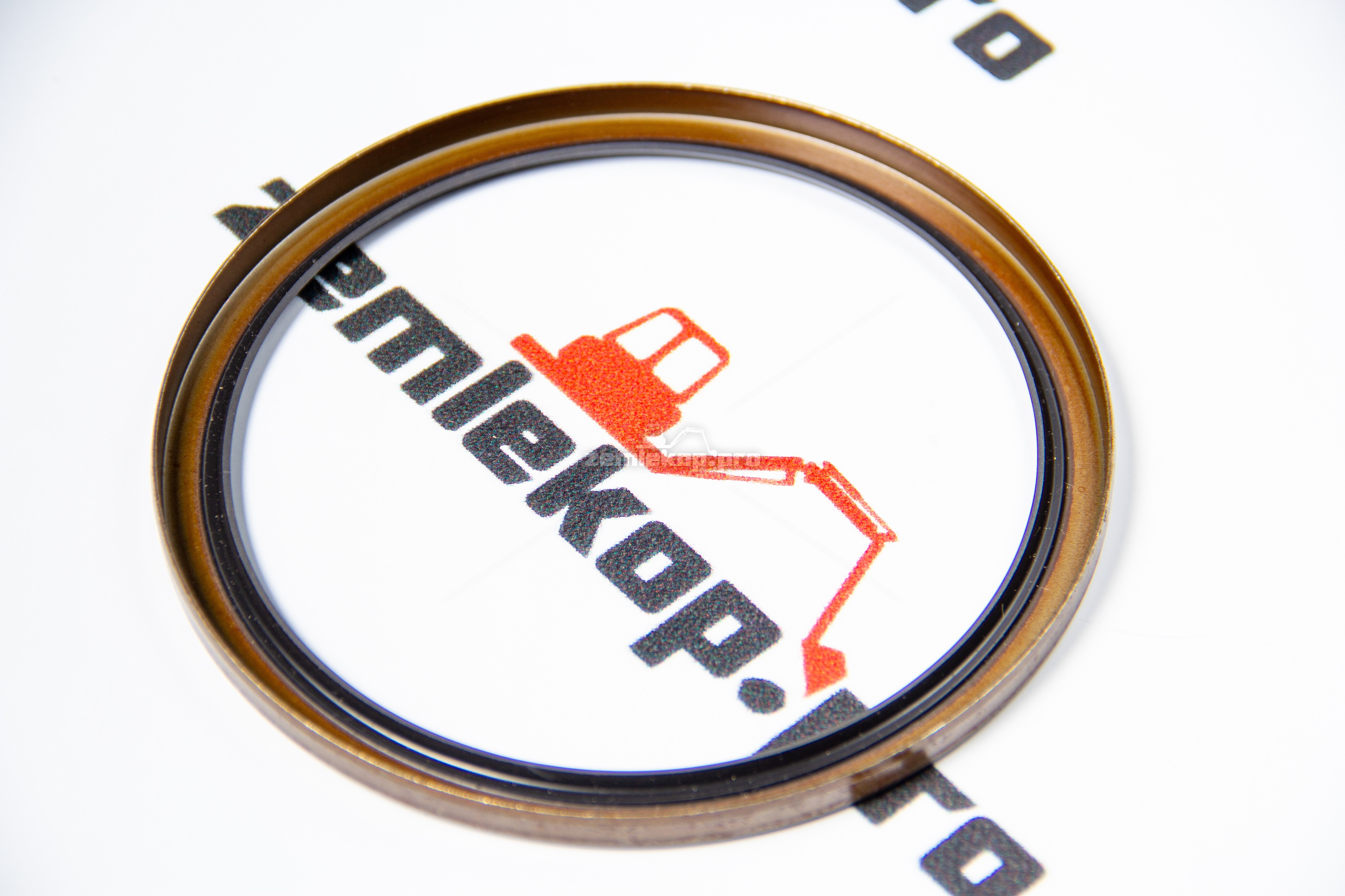 4207421 Сальник DANA