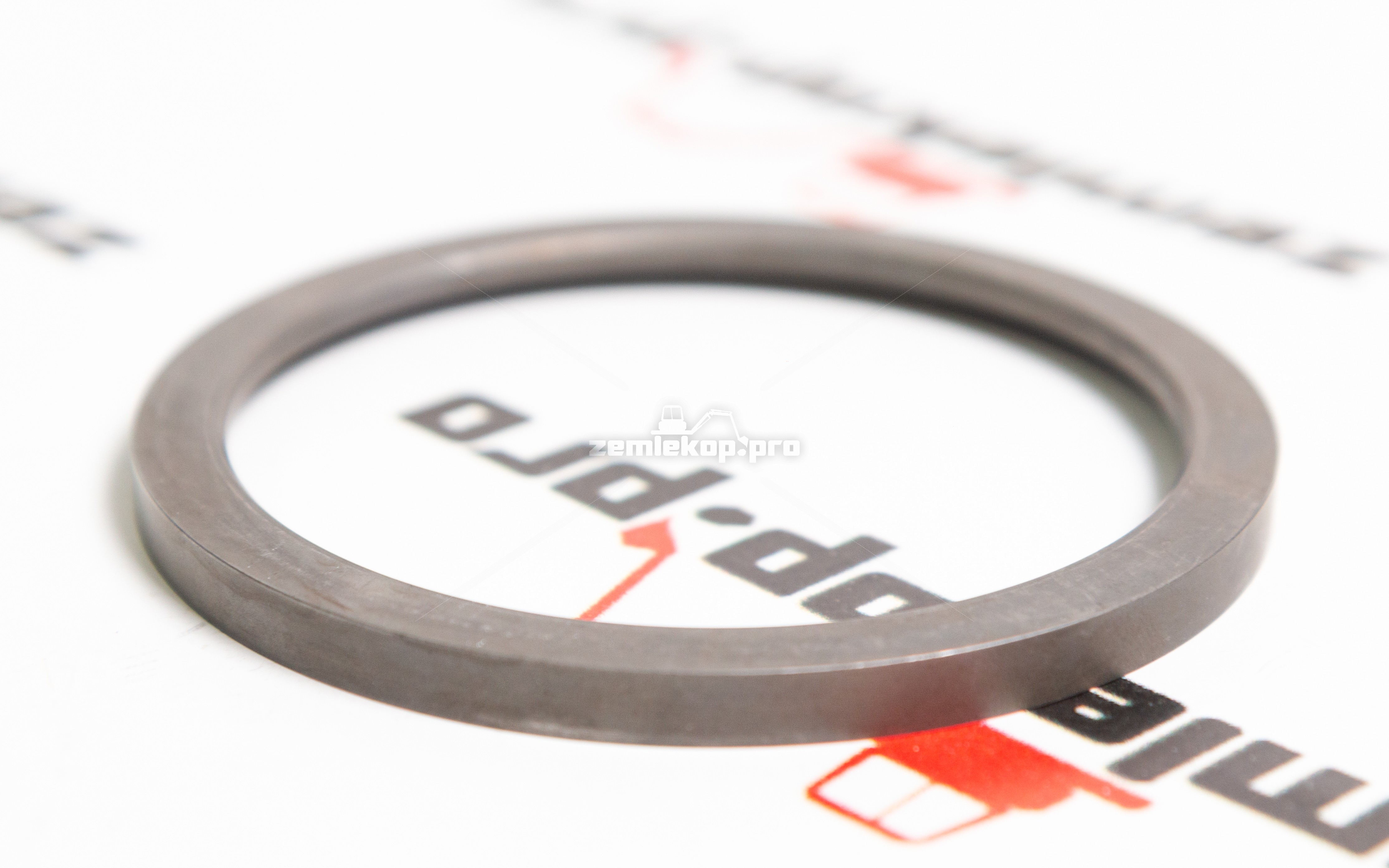 4212132 Шайба DANA