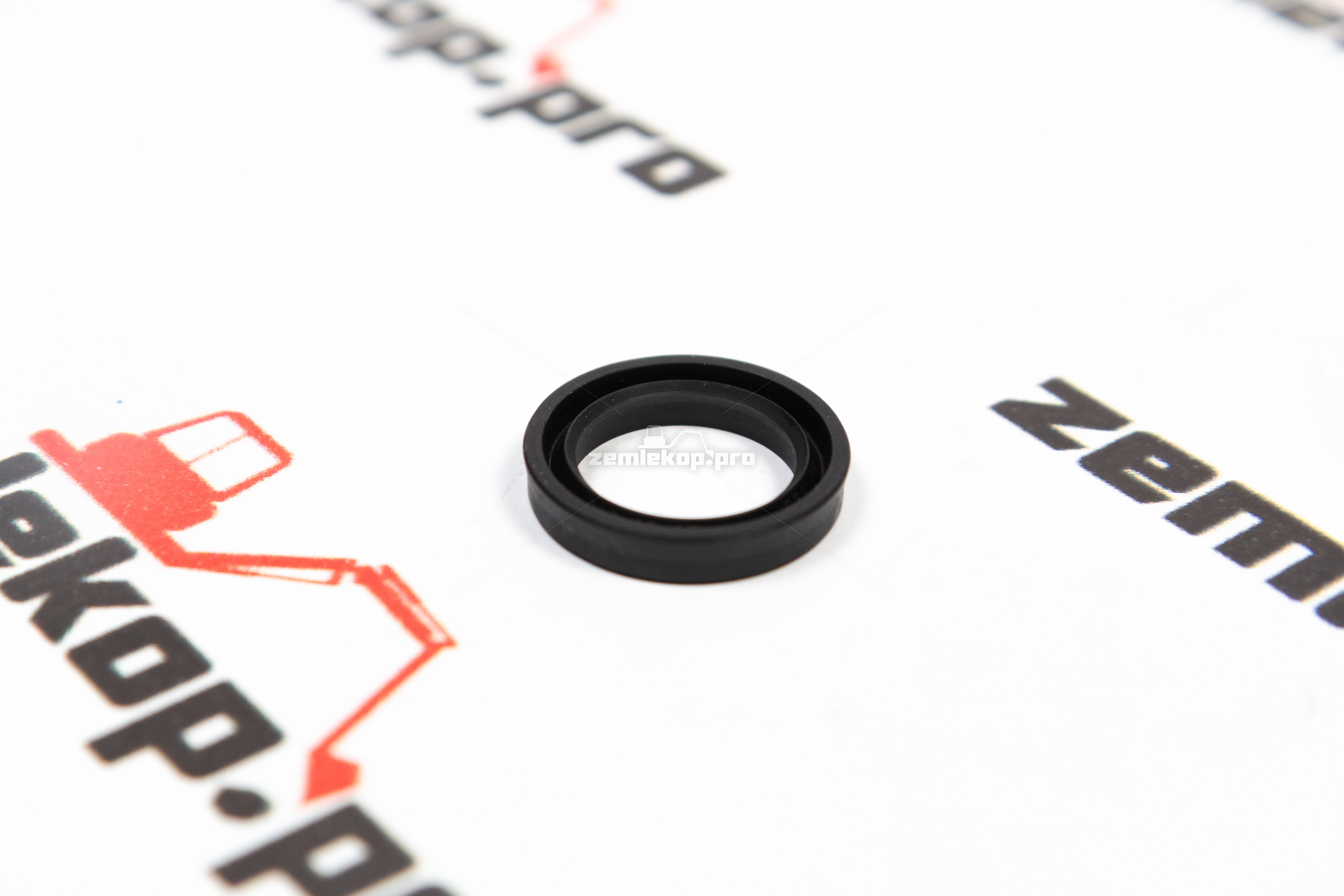 001.09.3070 Сальник DANA