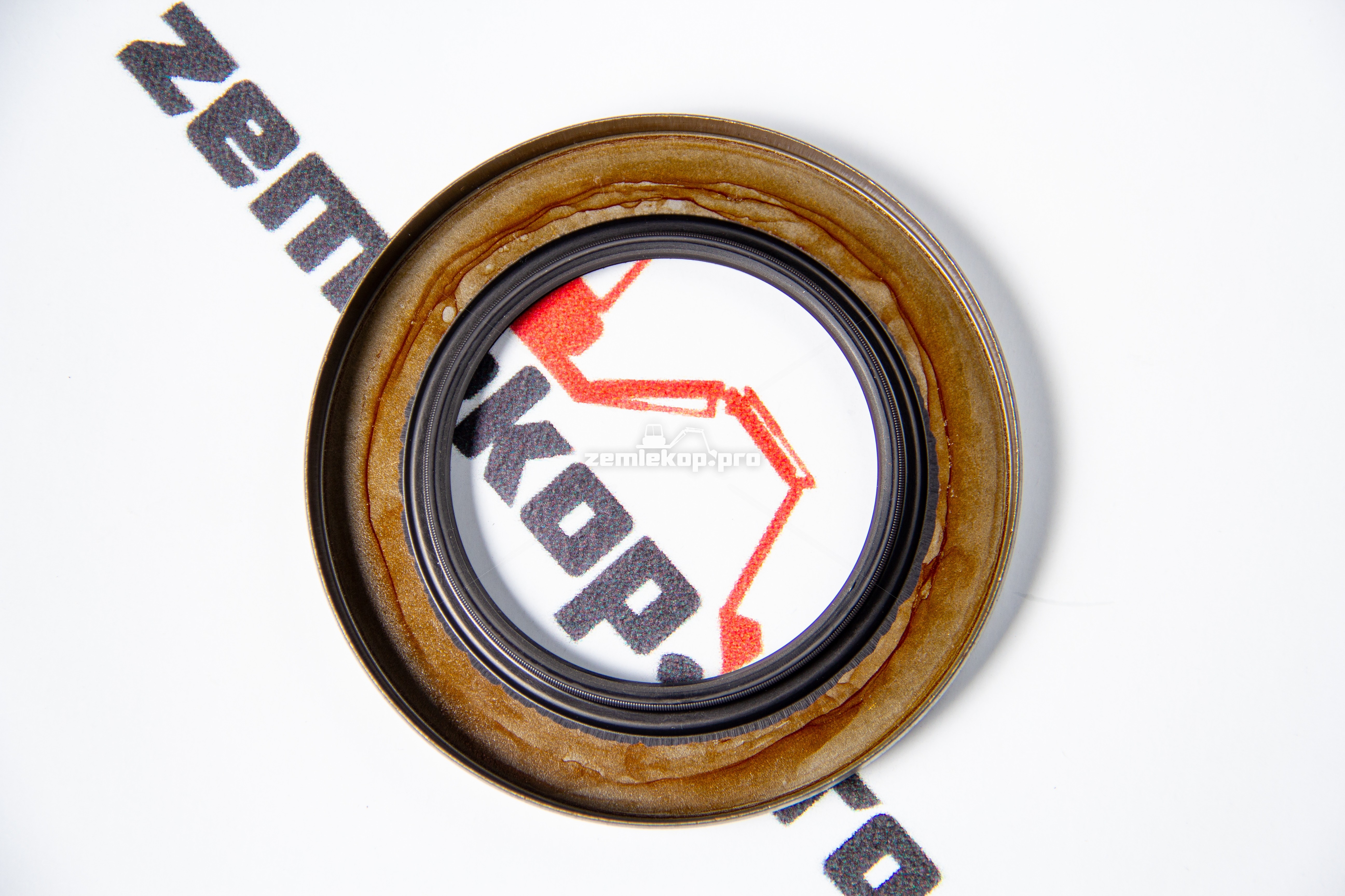 001.13.1234 Сальник DANA