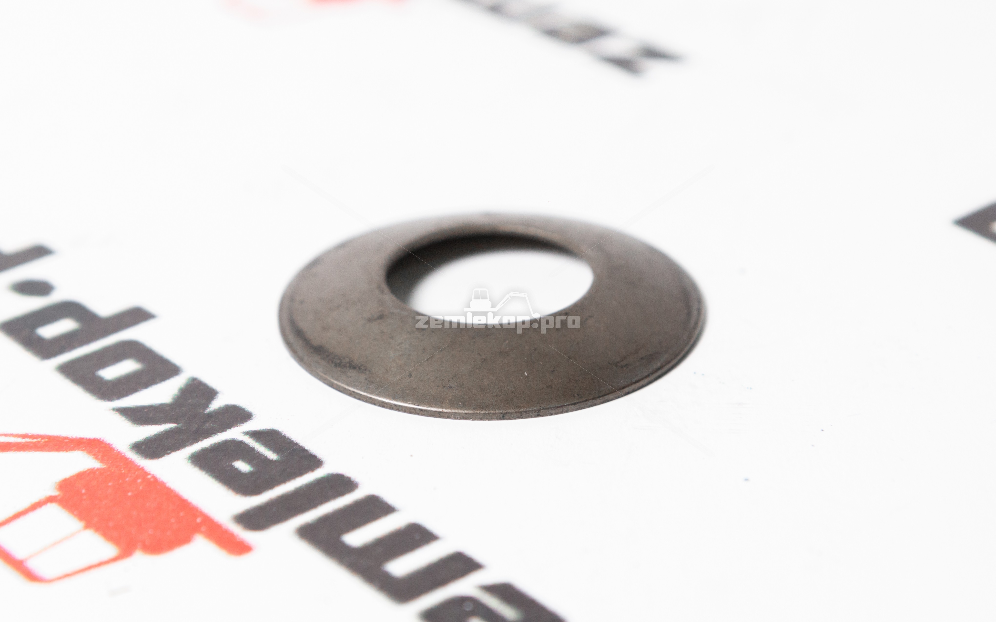 112.04.008.01 Шайба DANA