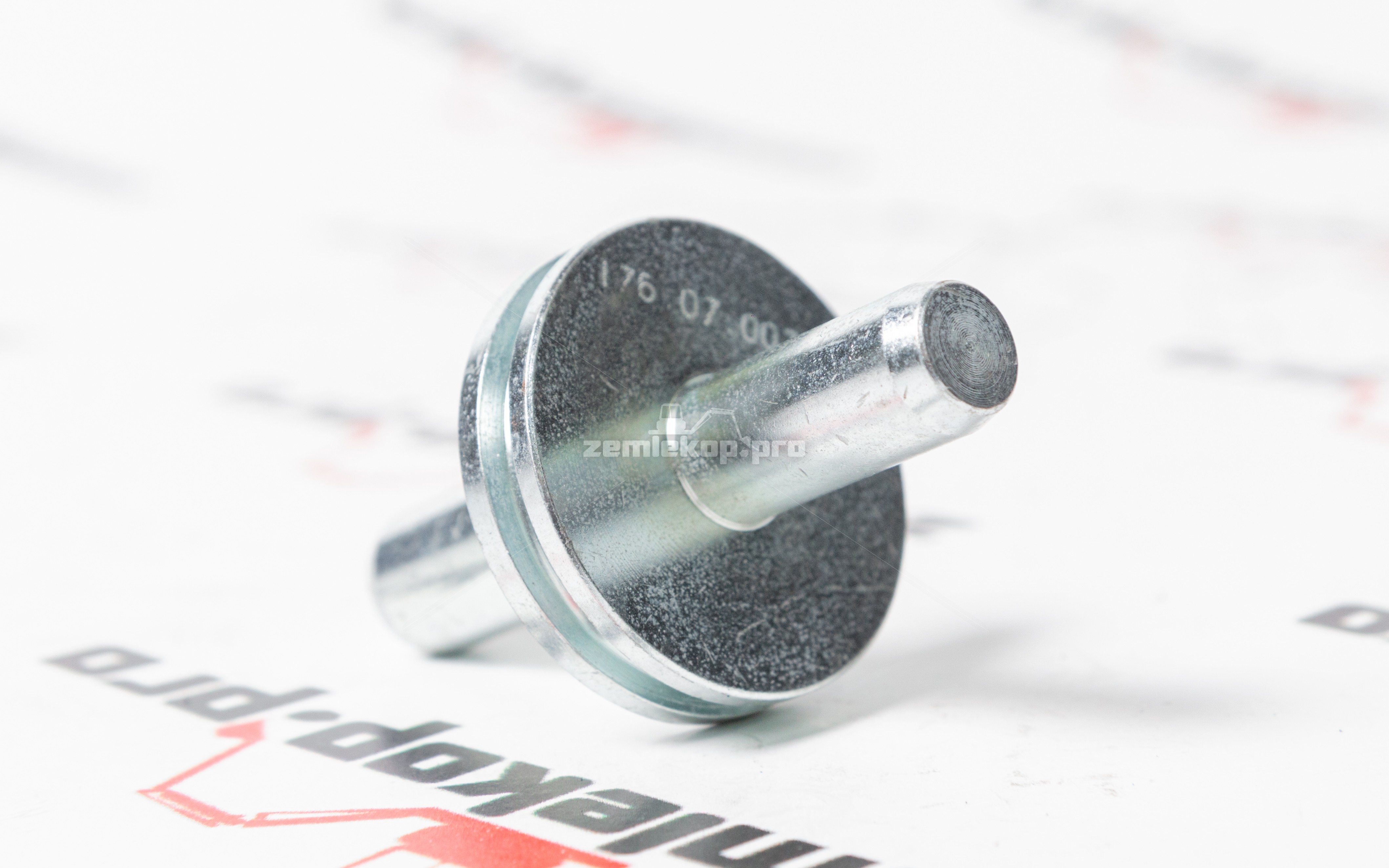 176.07.007.08 Поршень DANA