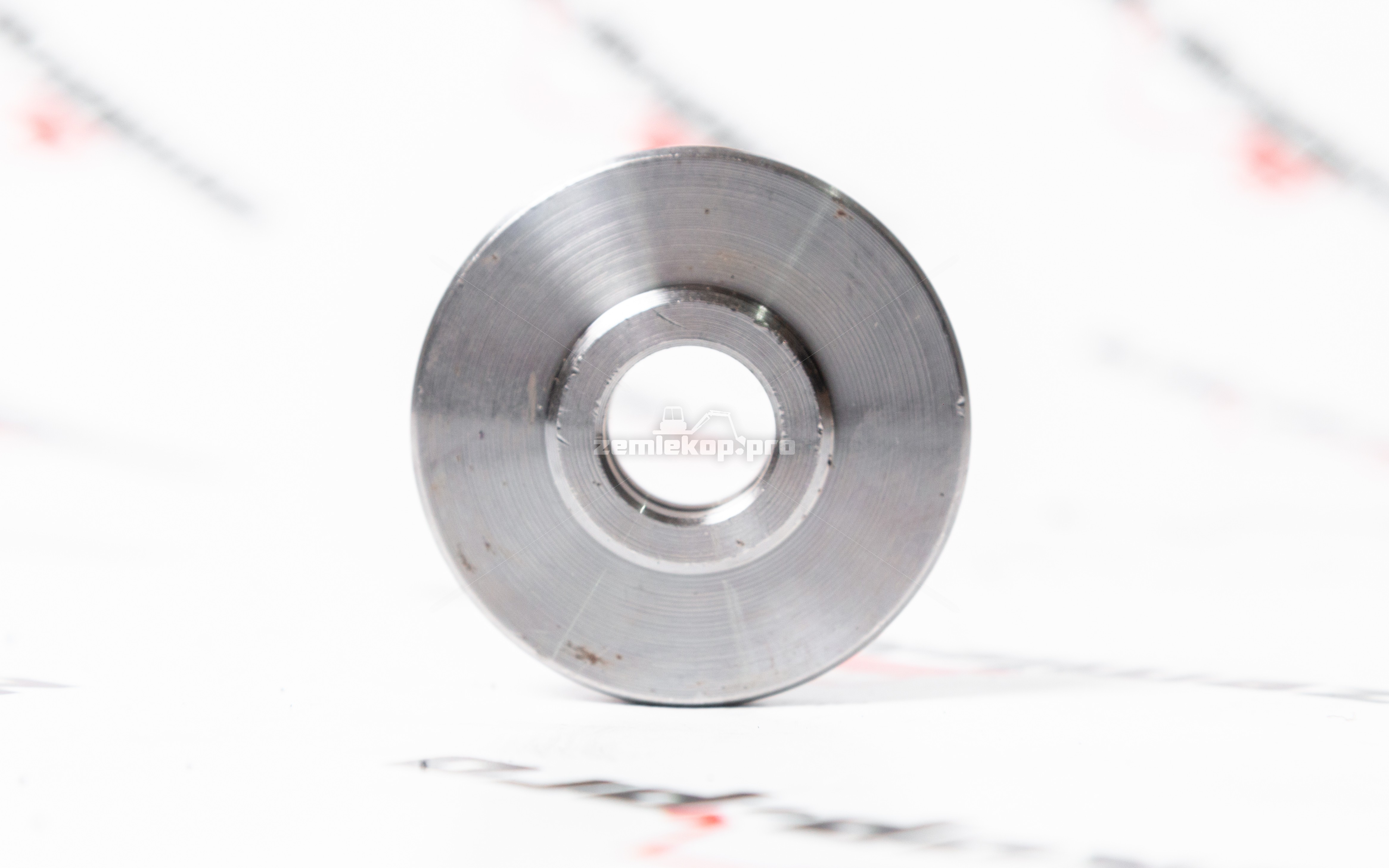 176.07.012.01 Шайба DANA