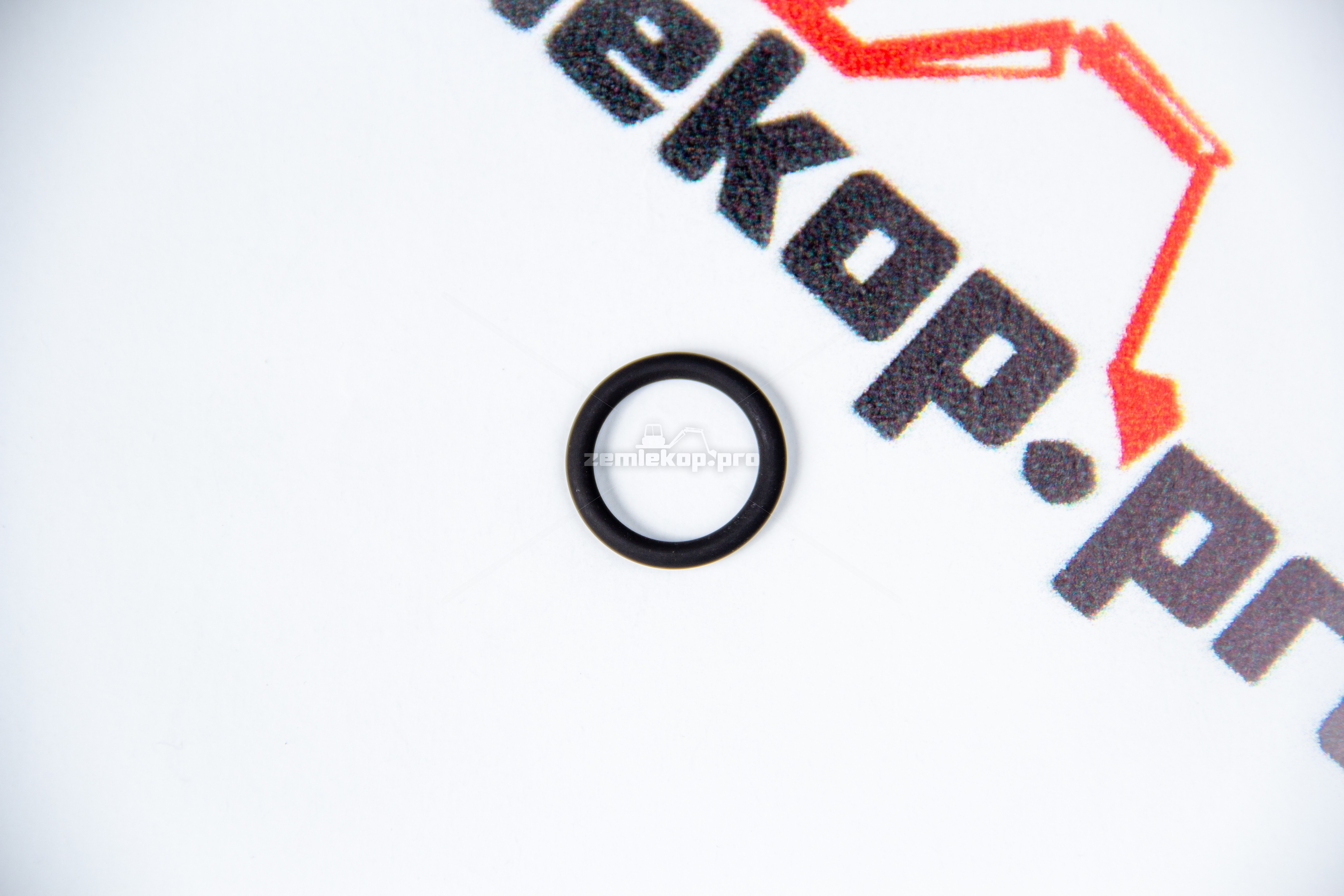 176.07.053.01 О-кольцо DANA