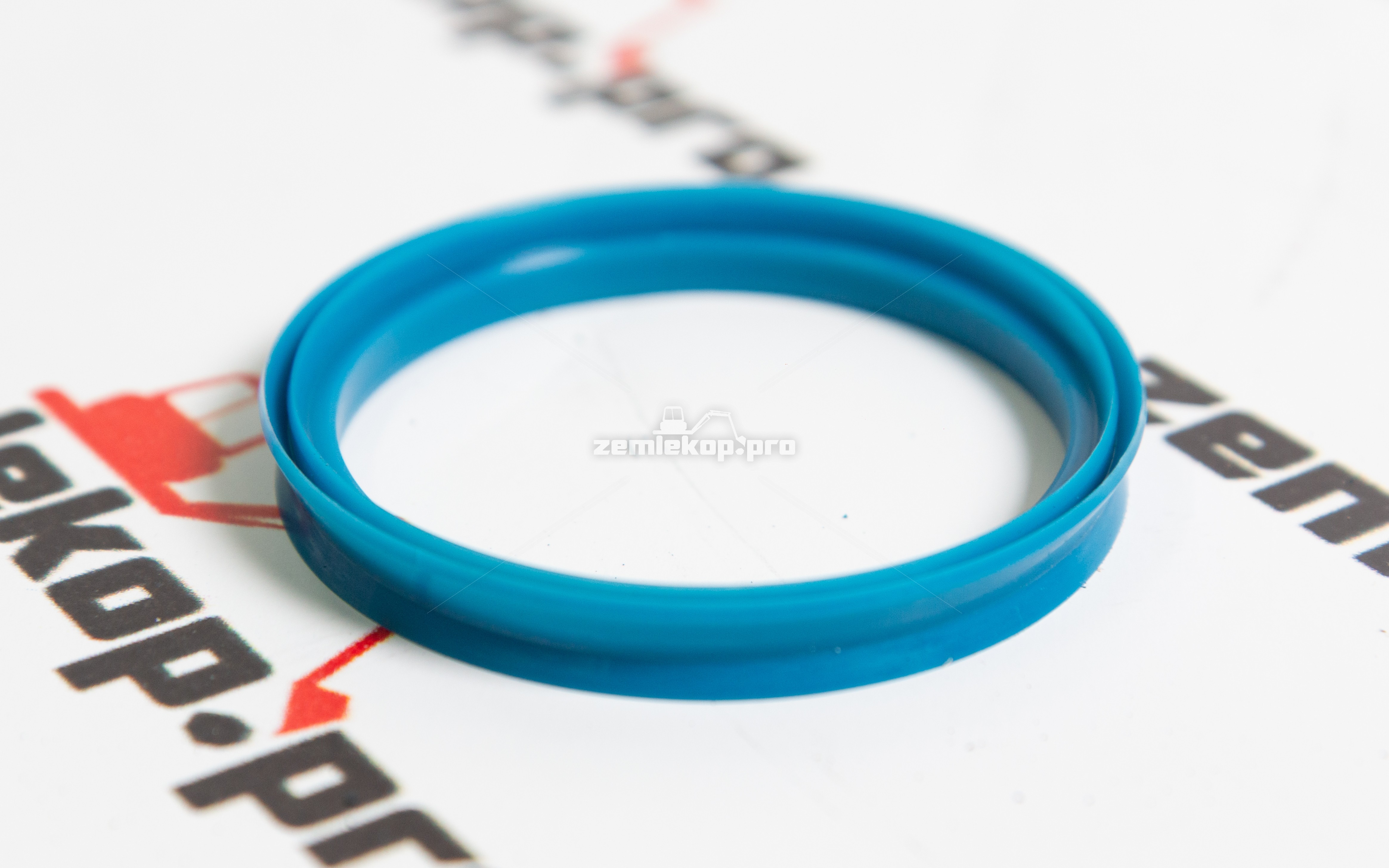 213.06.006.03 Сальник DANA