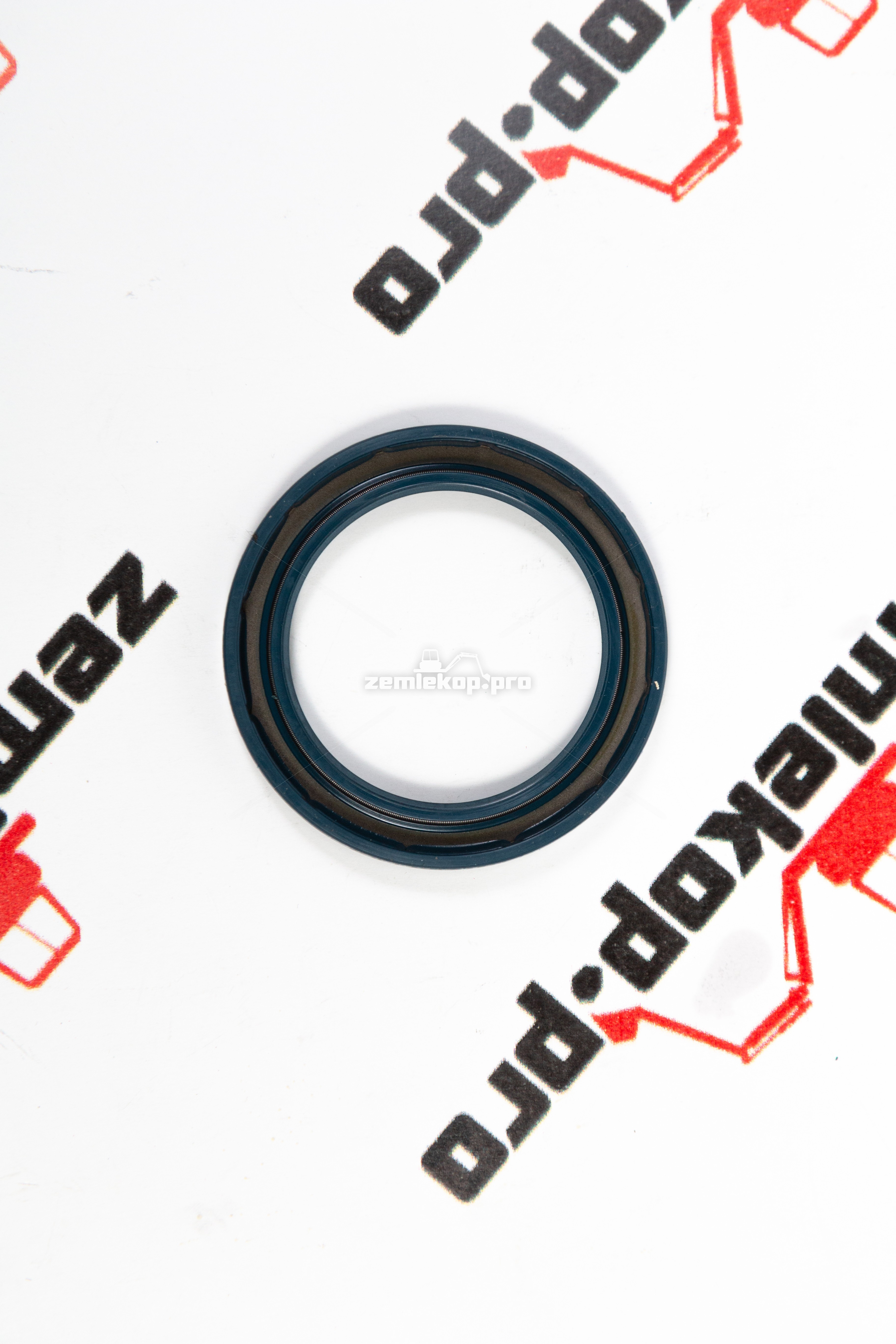 001.01.0668 Сальник DANA