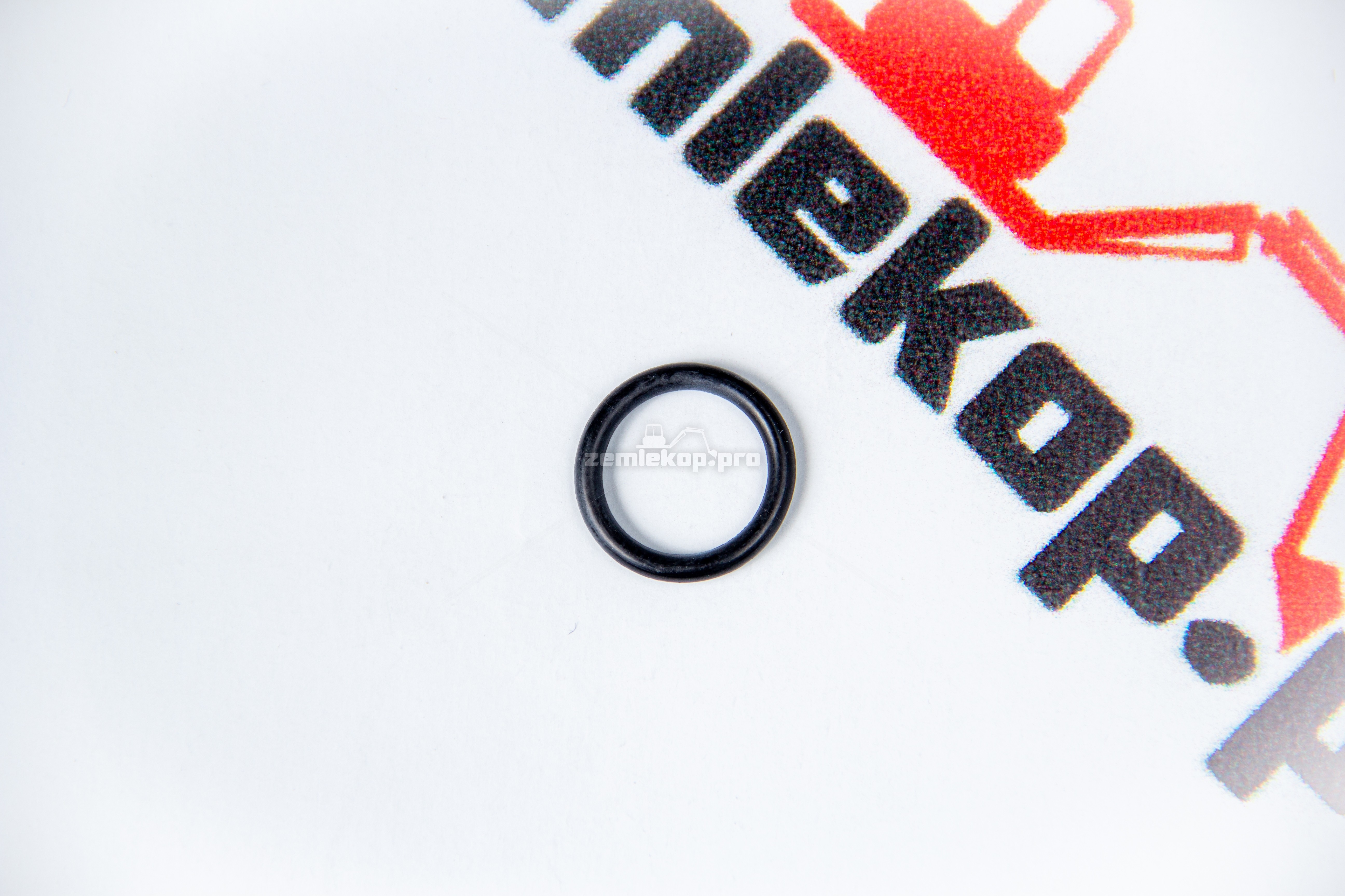 60K30020 О-кольцо DANA