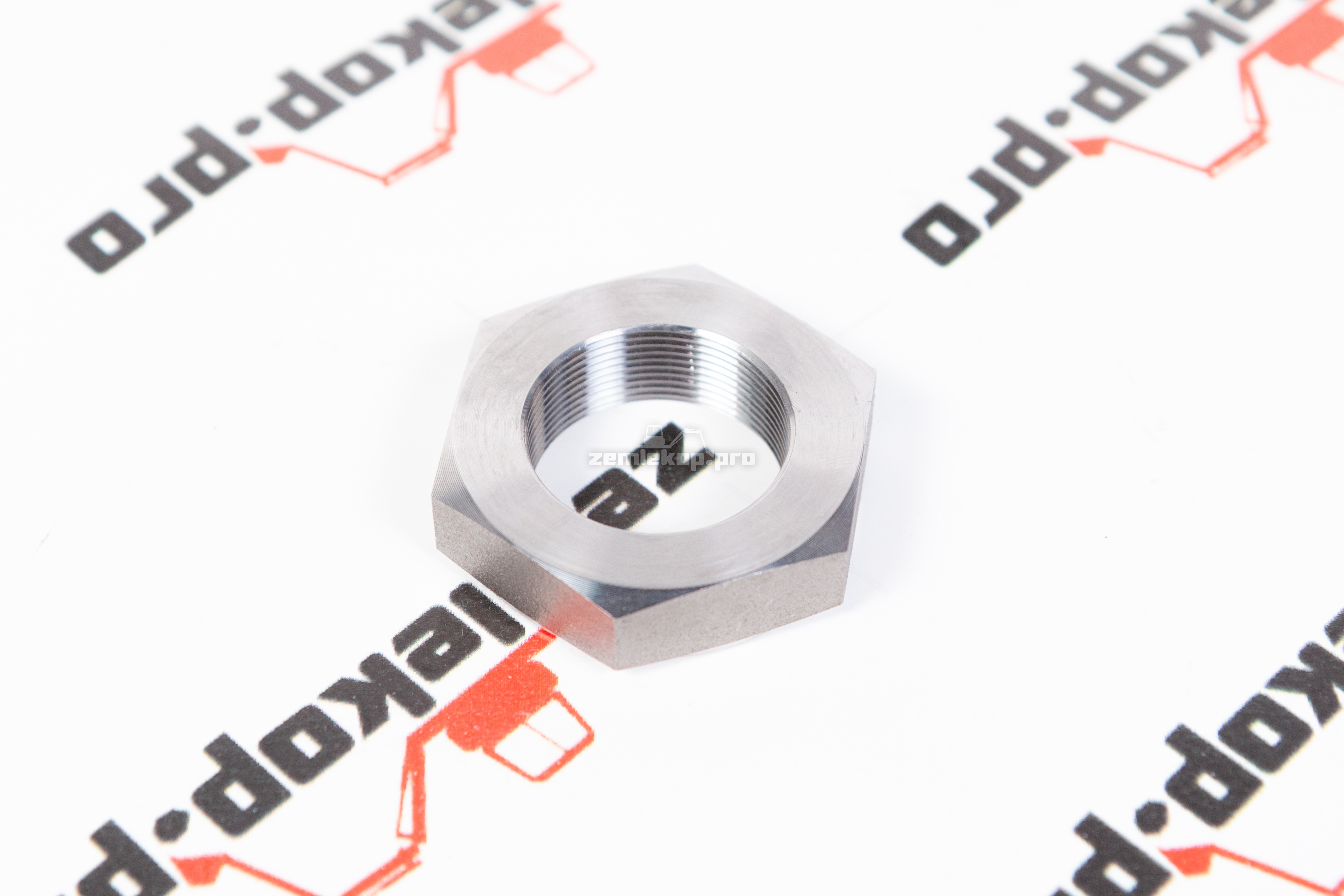 171.04.019.01 Гайка DANA