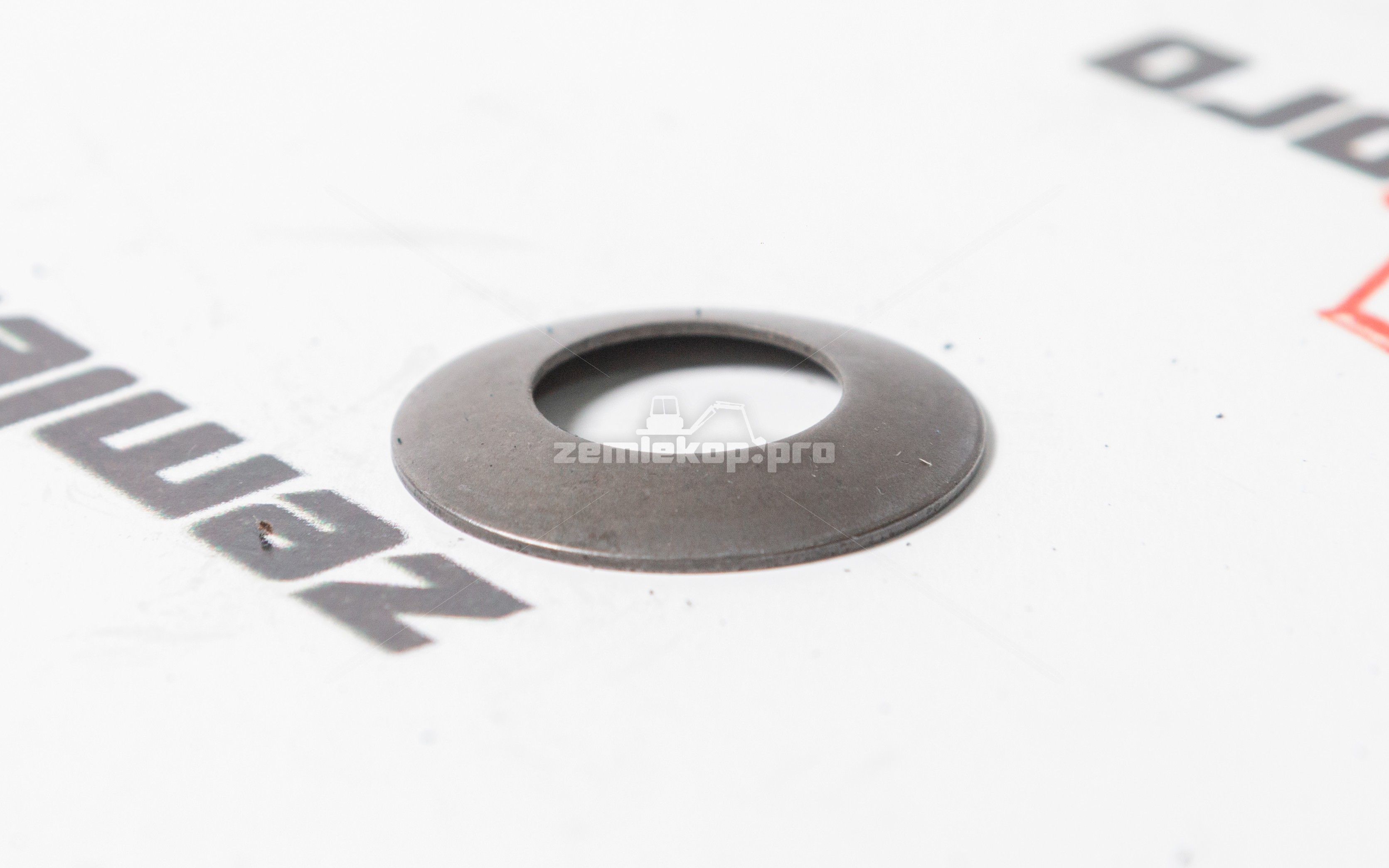 171.04.012.01A Шайба DANA