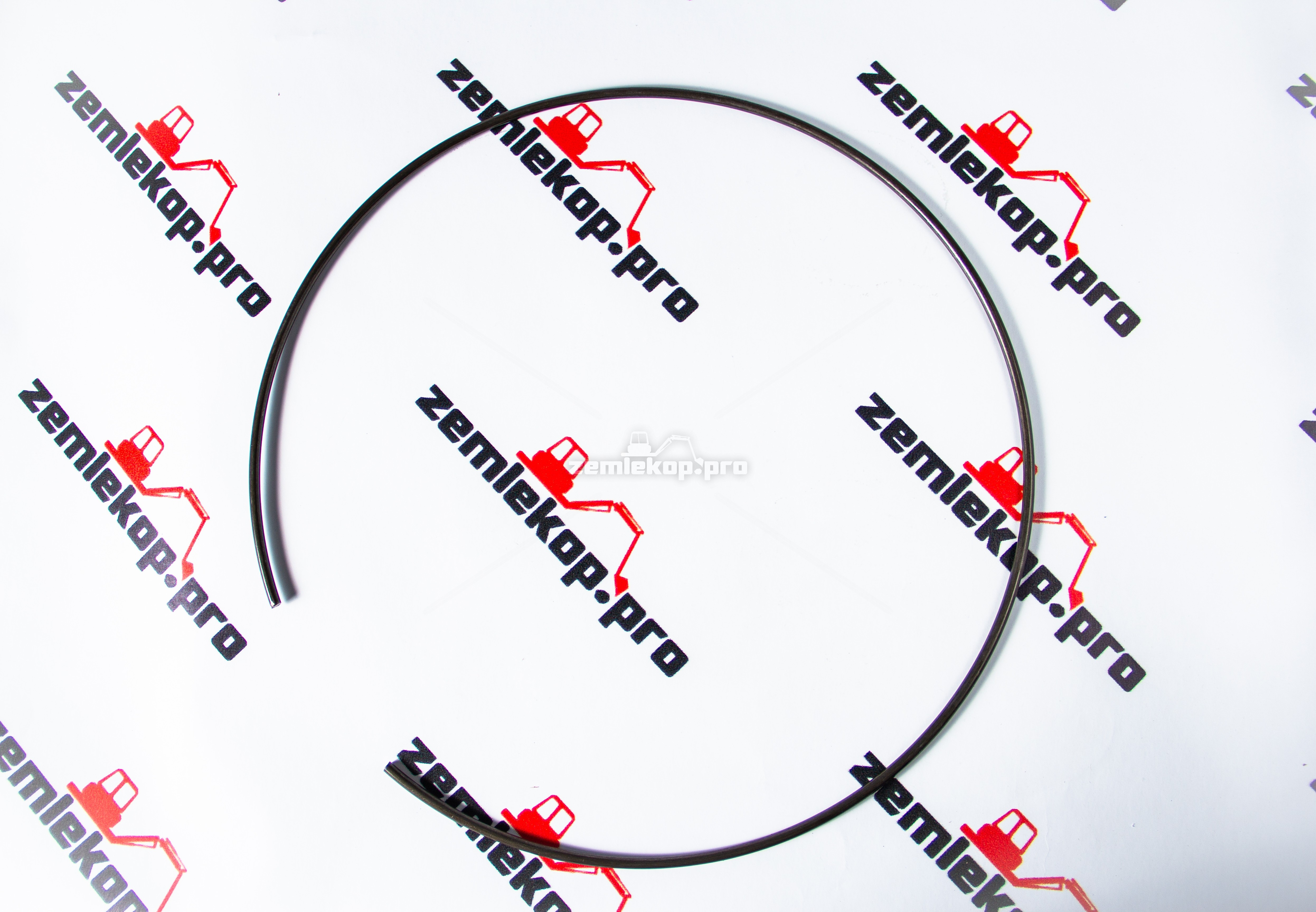 770.06.011.01 Кольцо DANA