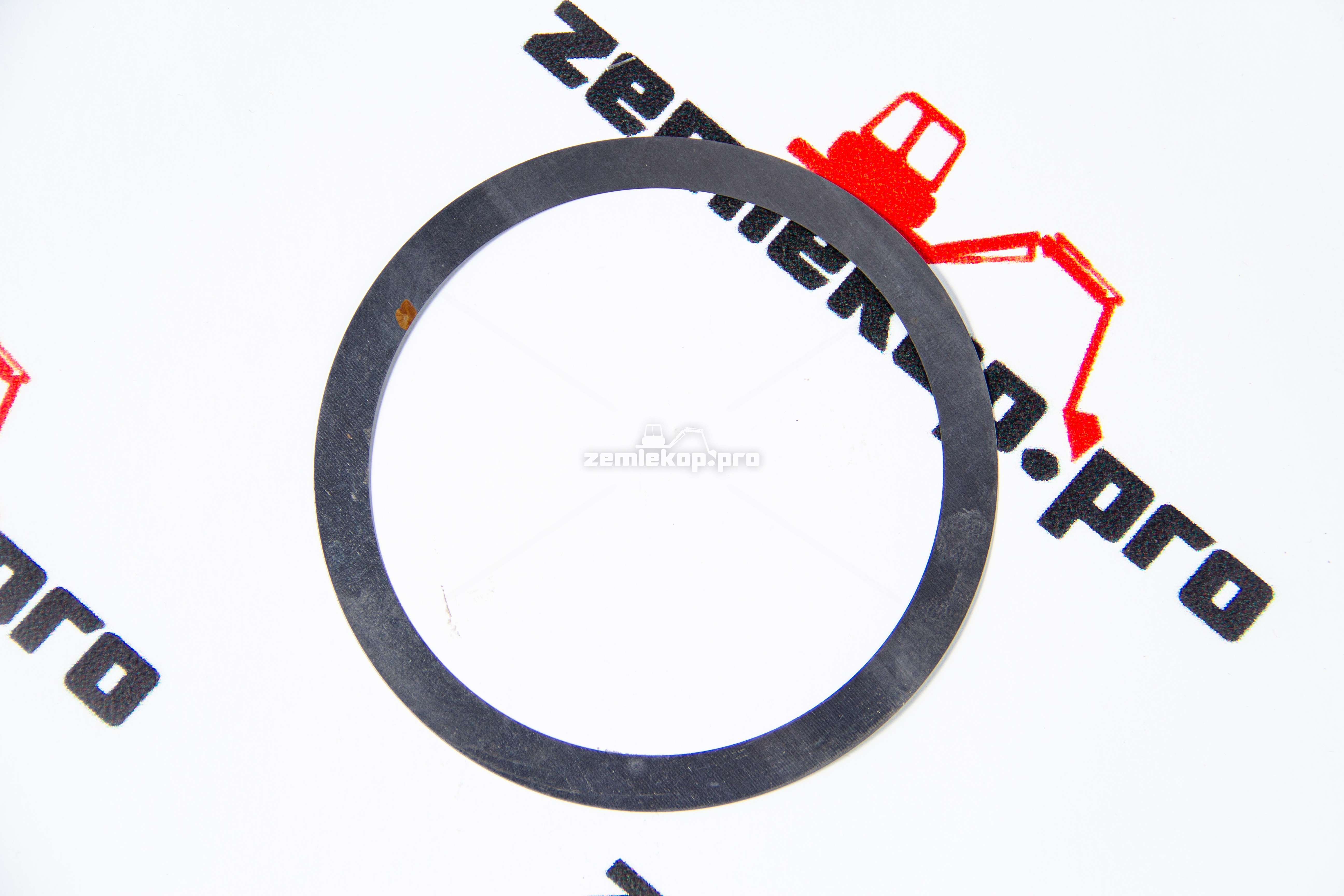 000.245025.A Шайба DANA