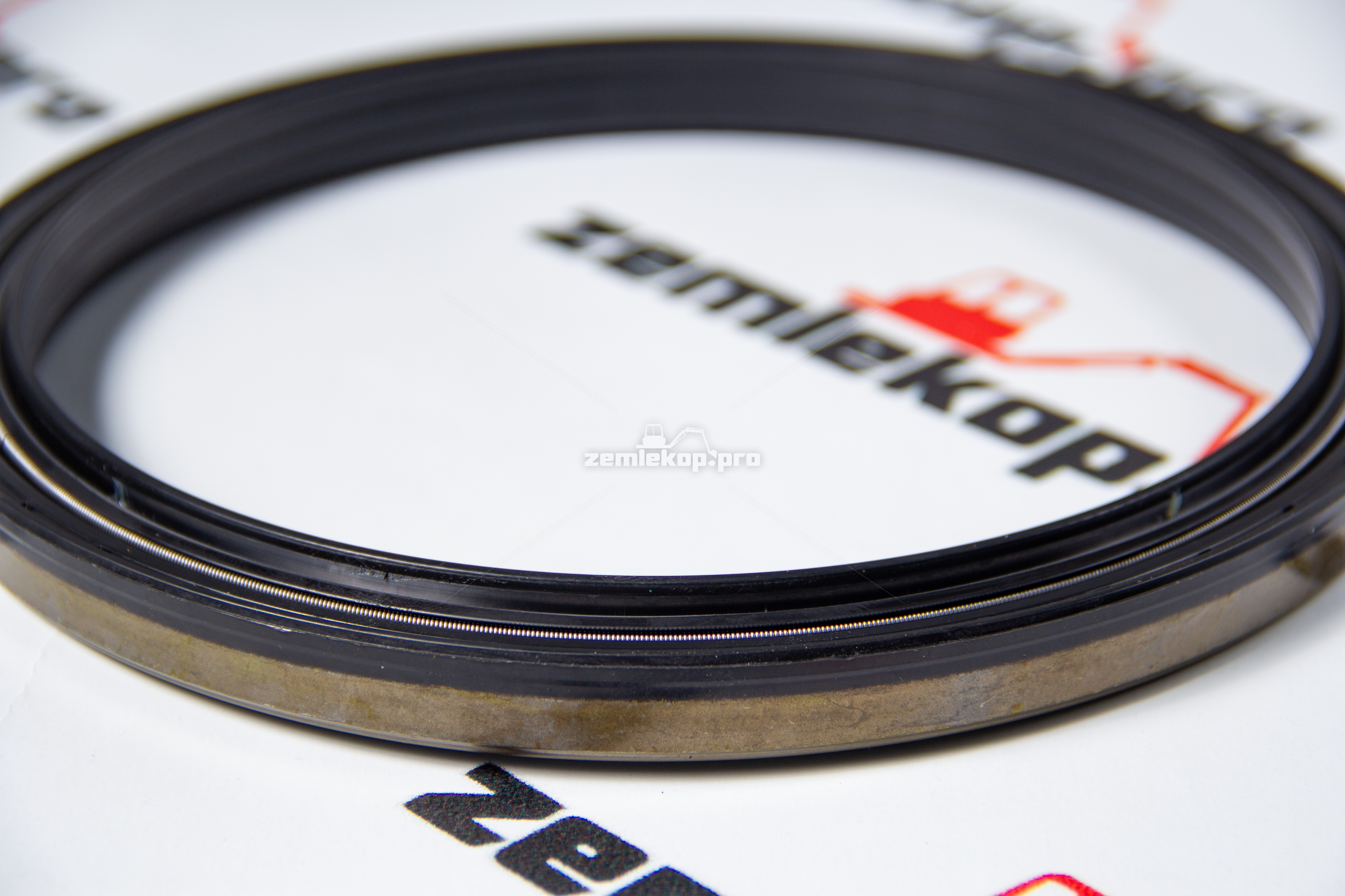 138.06.020.01 Сальник DANA