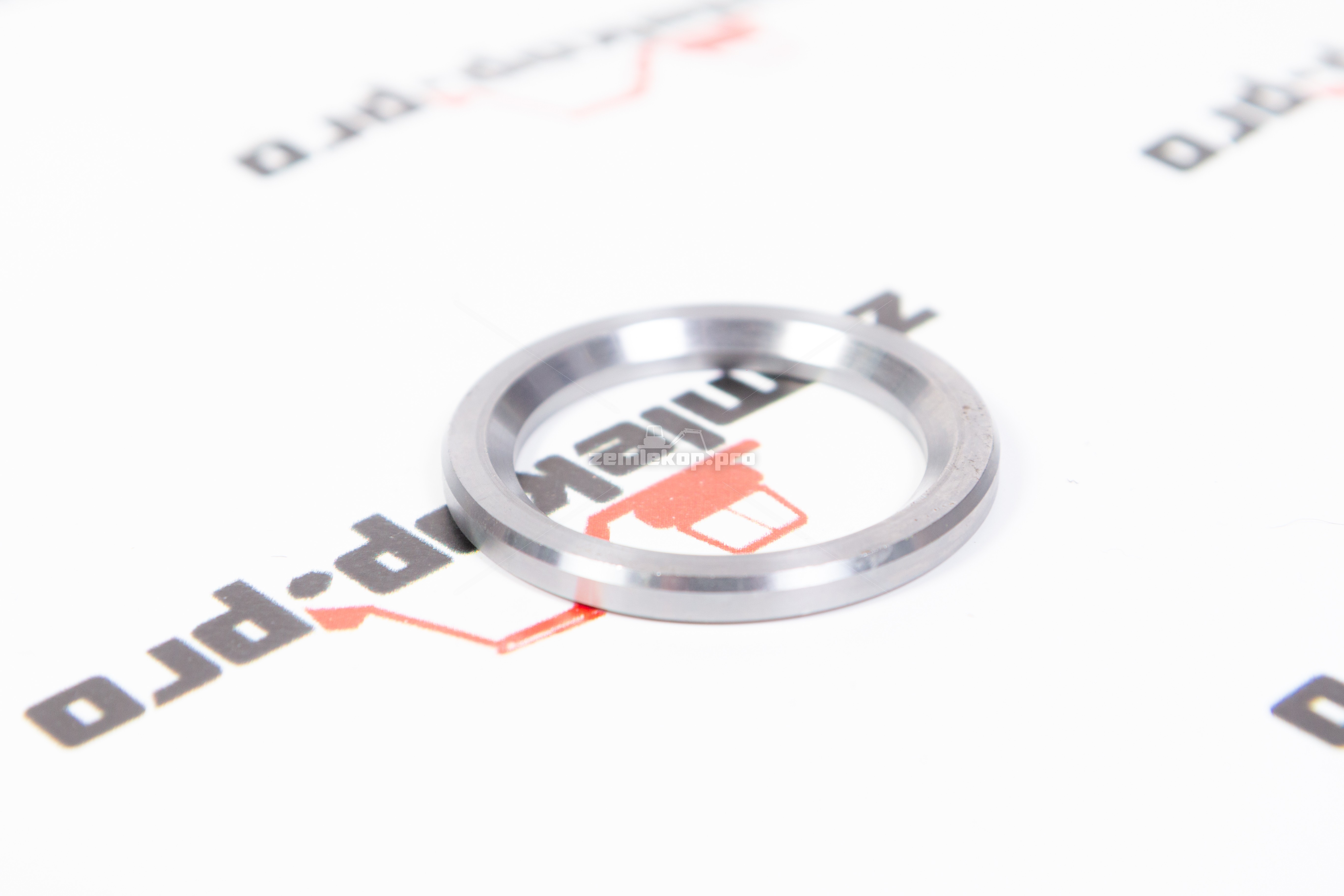 113.06.019.01 Кольцо DANA