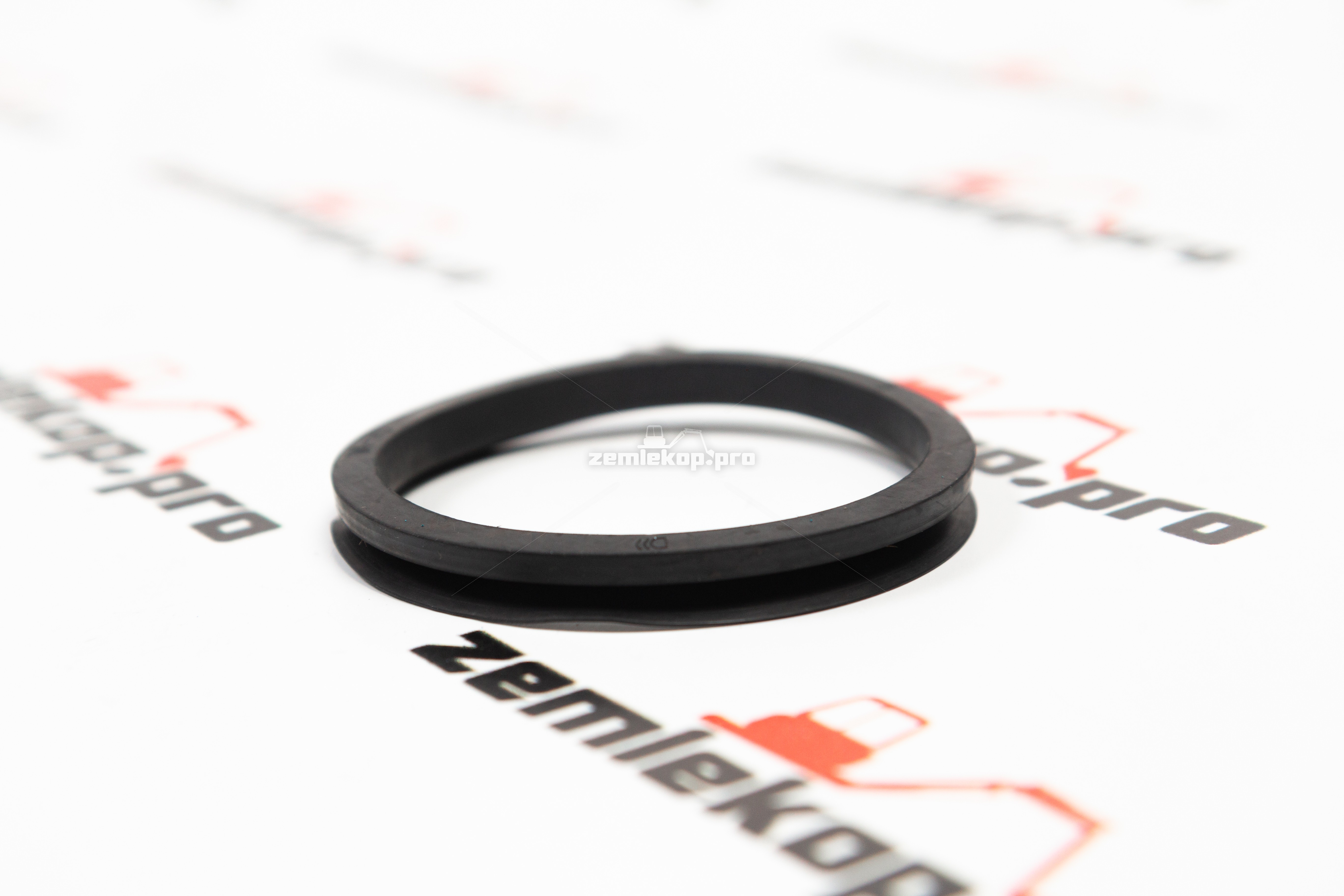 2109547 Сальник DANA