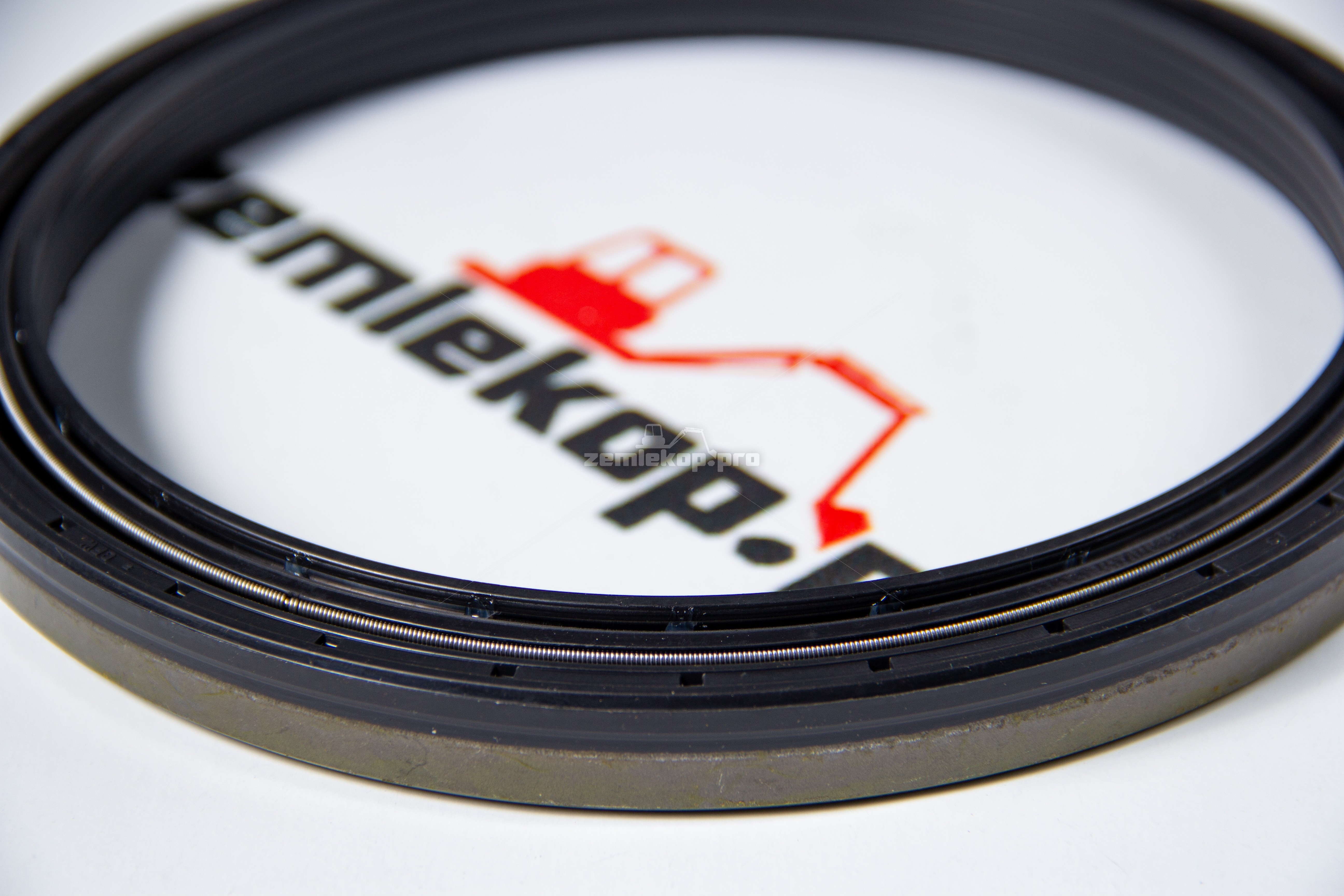 738.06.069.01 Сальник DANA