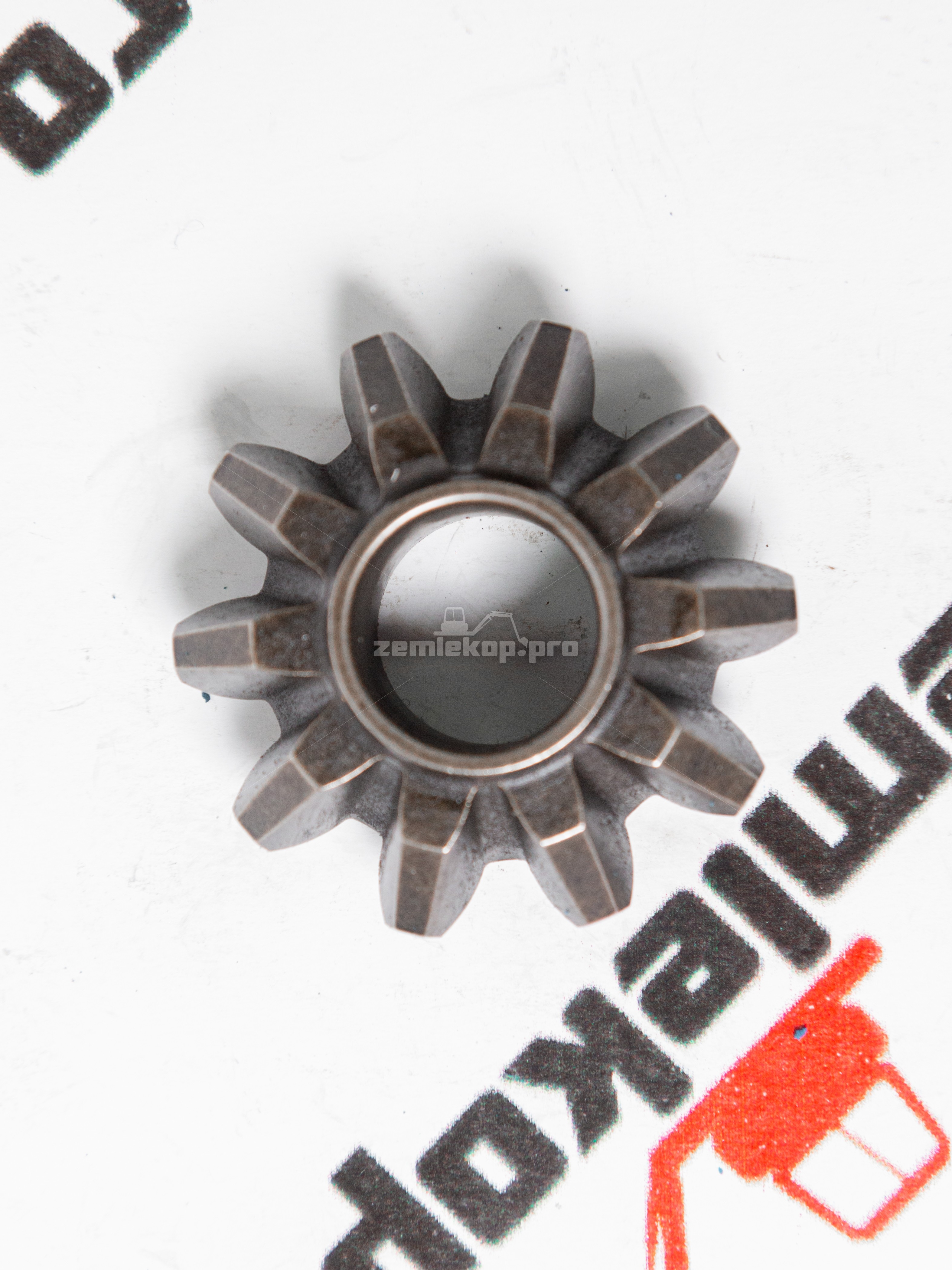 171.04.004.01A Шестерня DANA