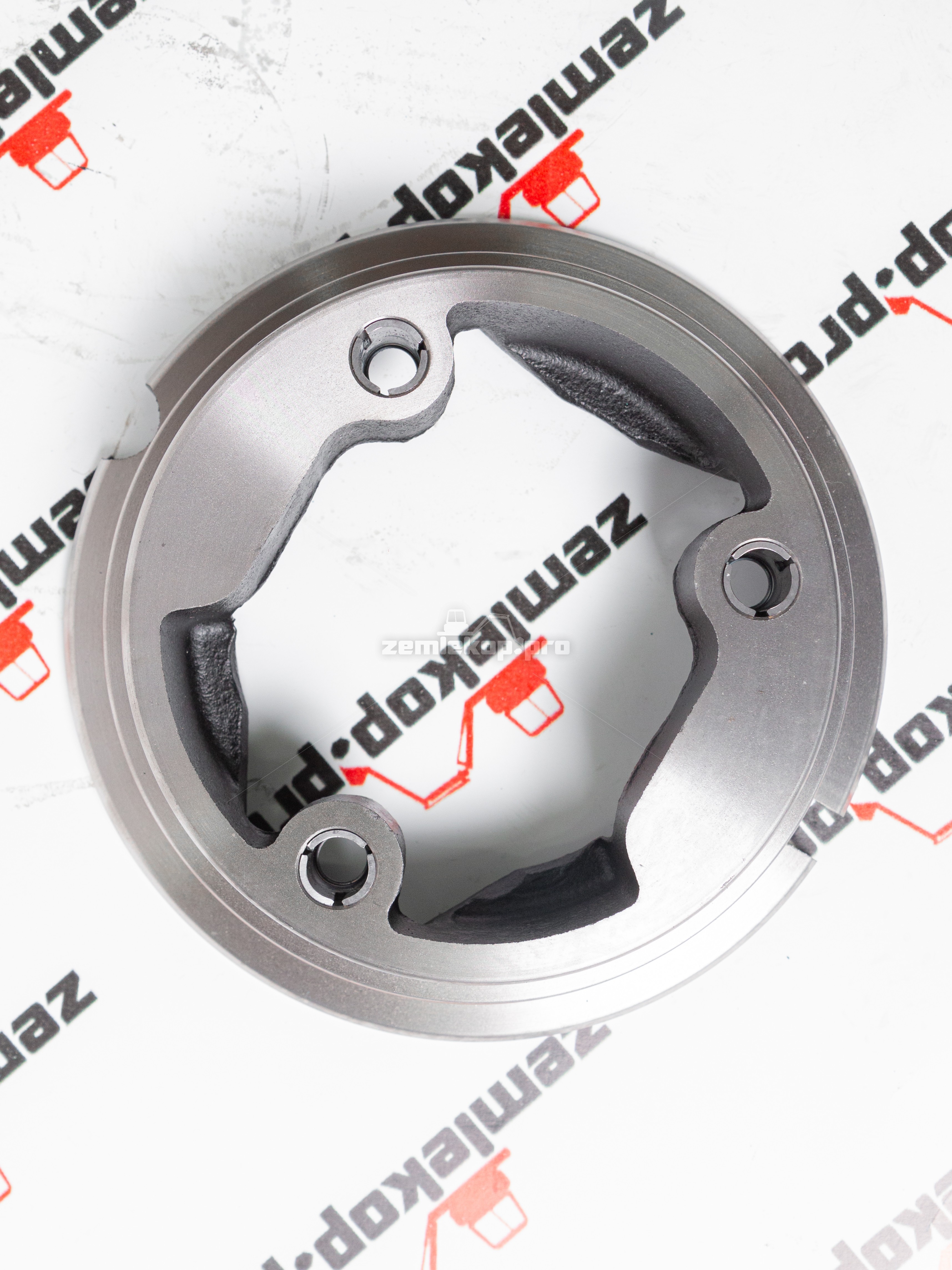 112.07.704.17 Поршень DANA