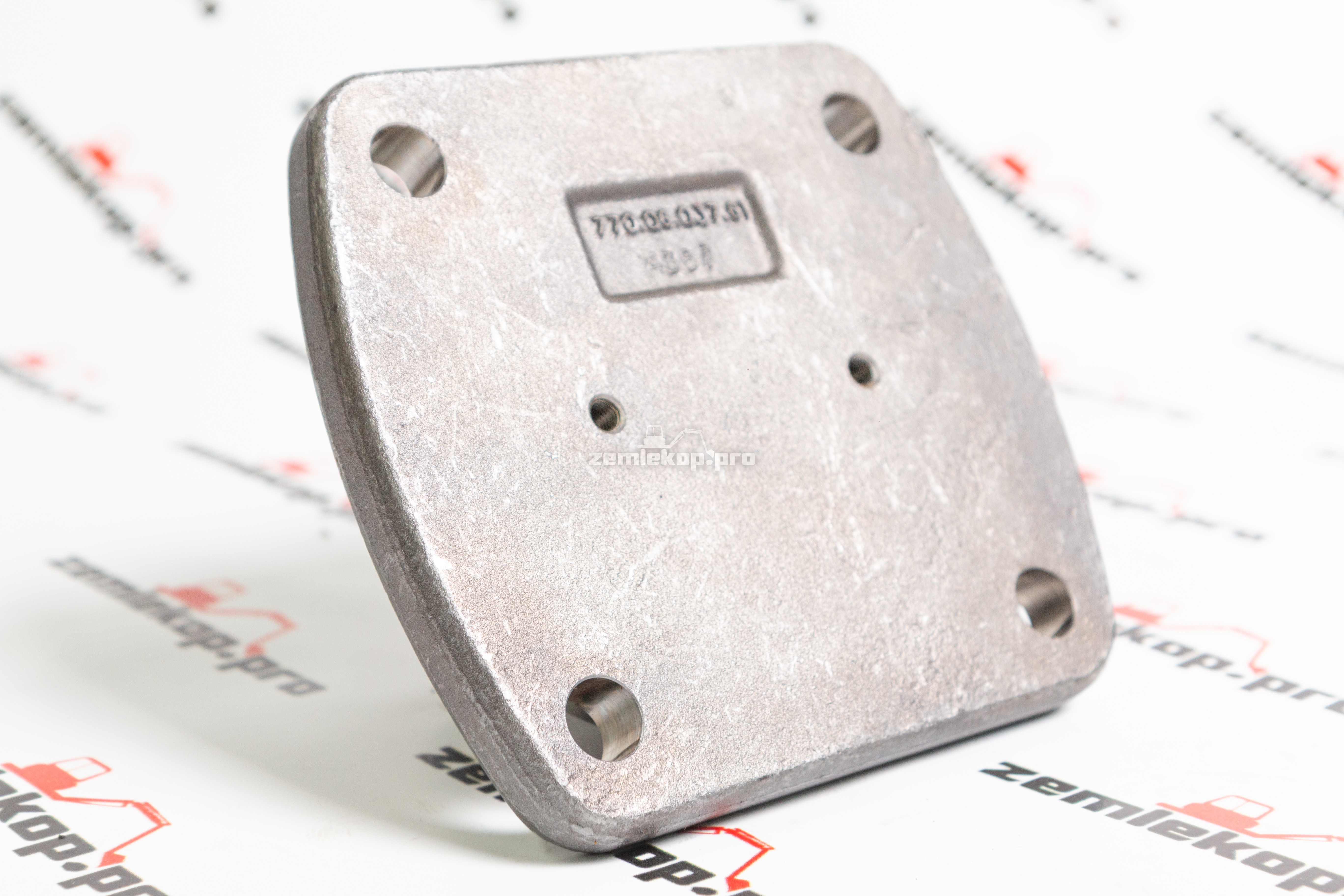 770.06.037.02 Шкворень DANA