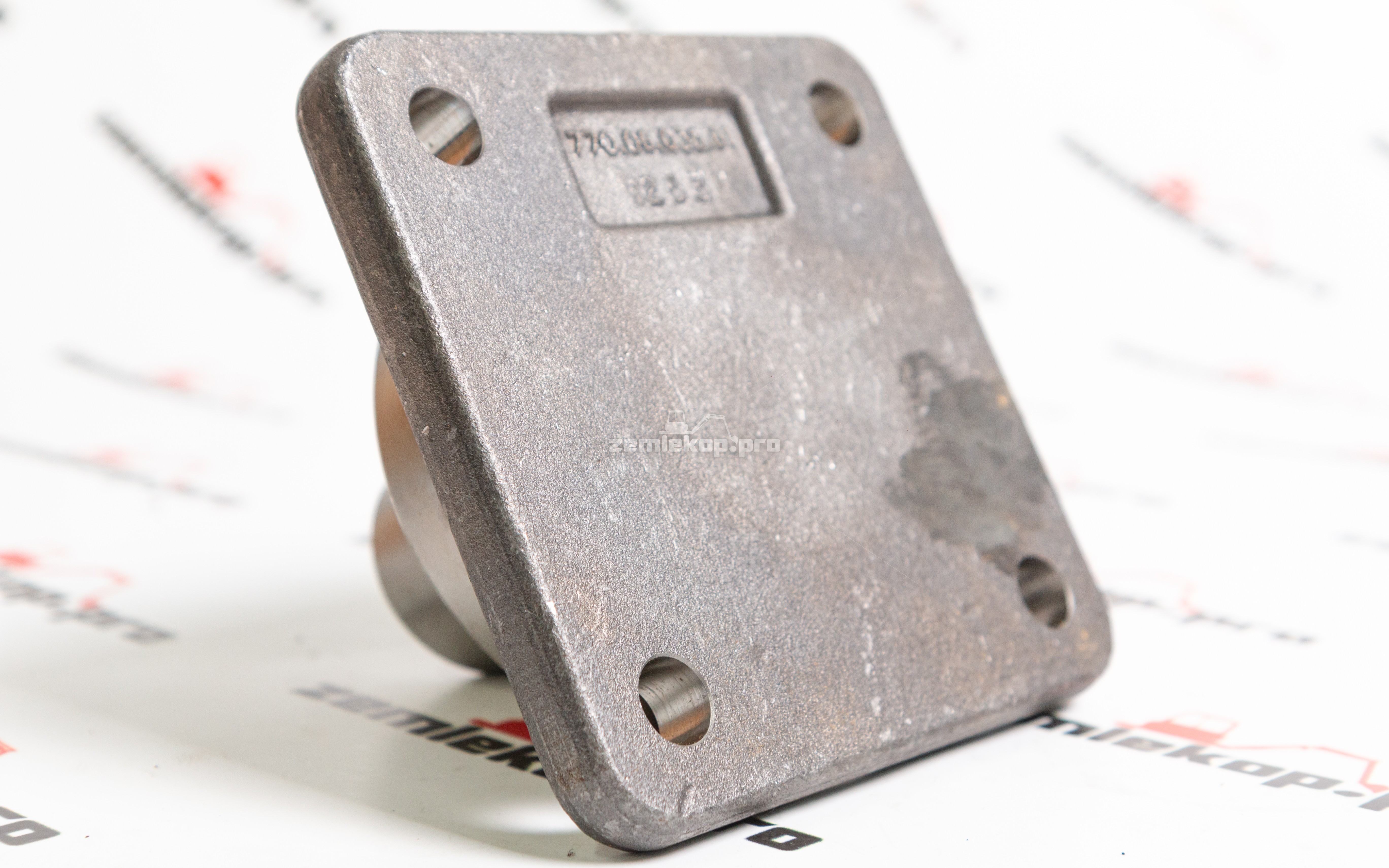 770.06.038.01 Шкворень DANA