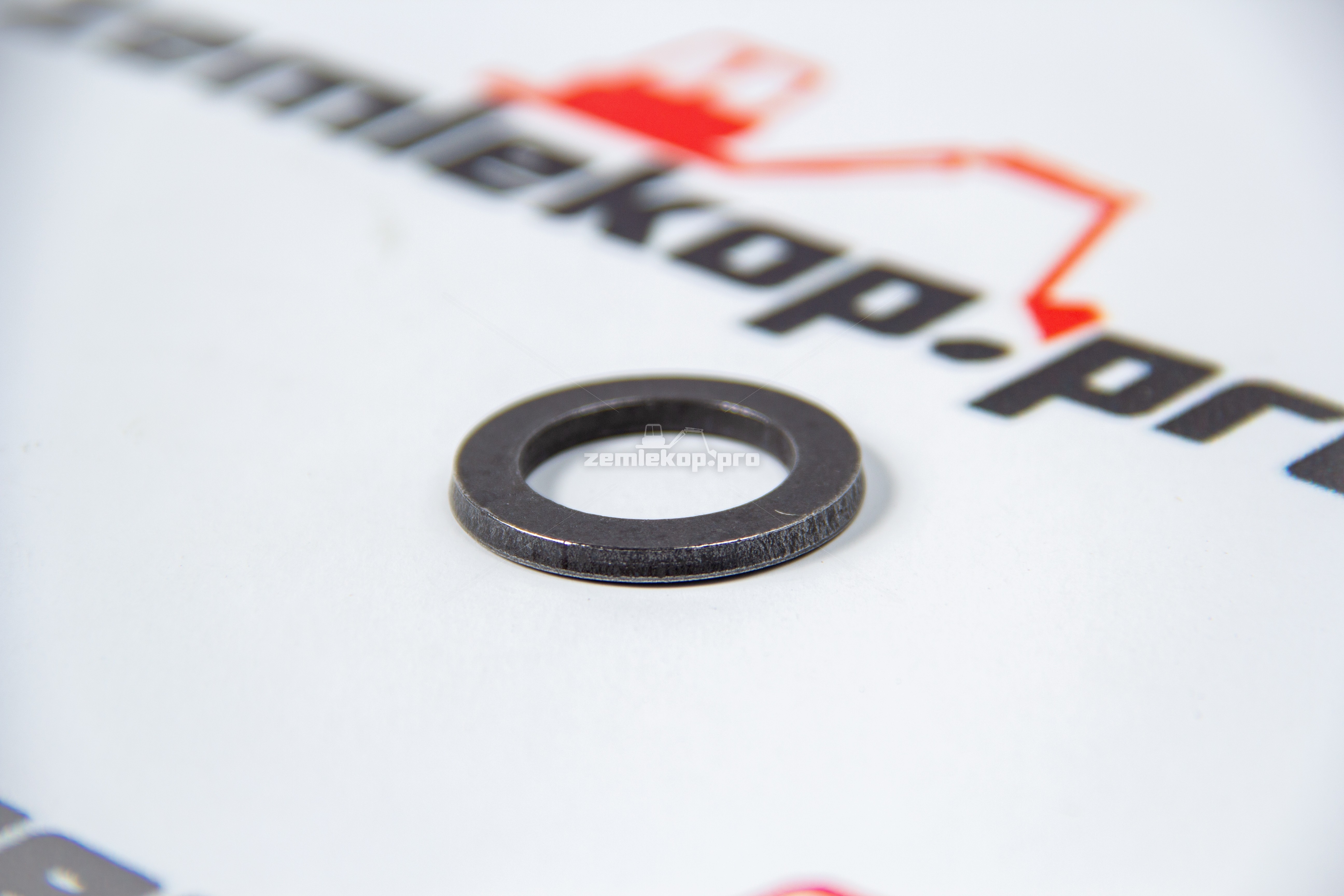 111656 Шайба DANA