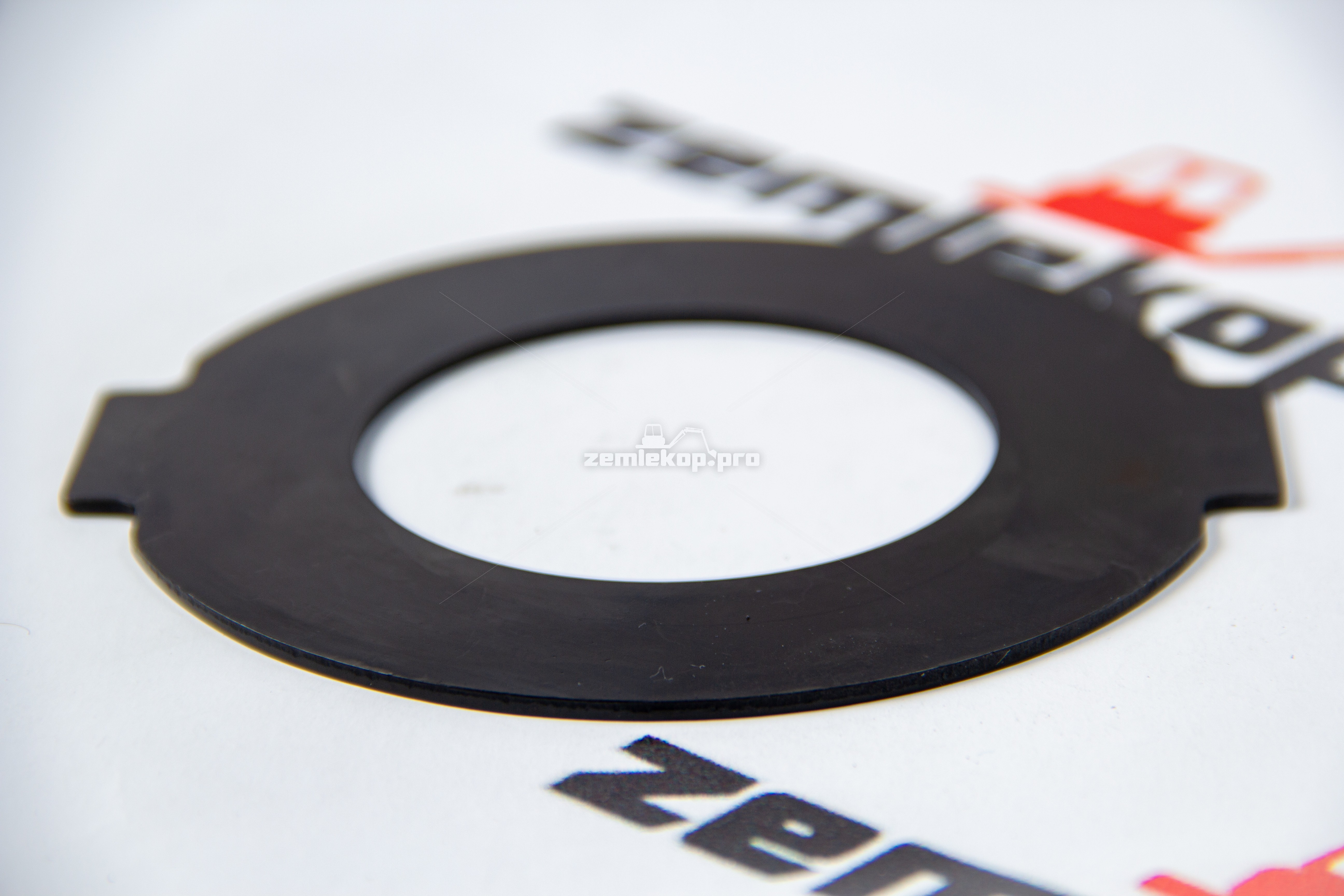 138.04.009.01 Шайба DANA