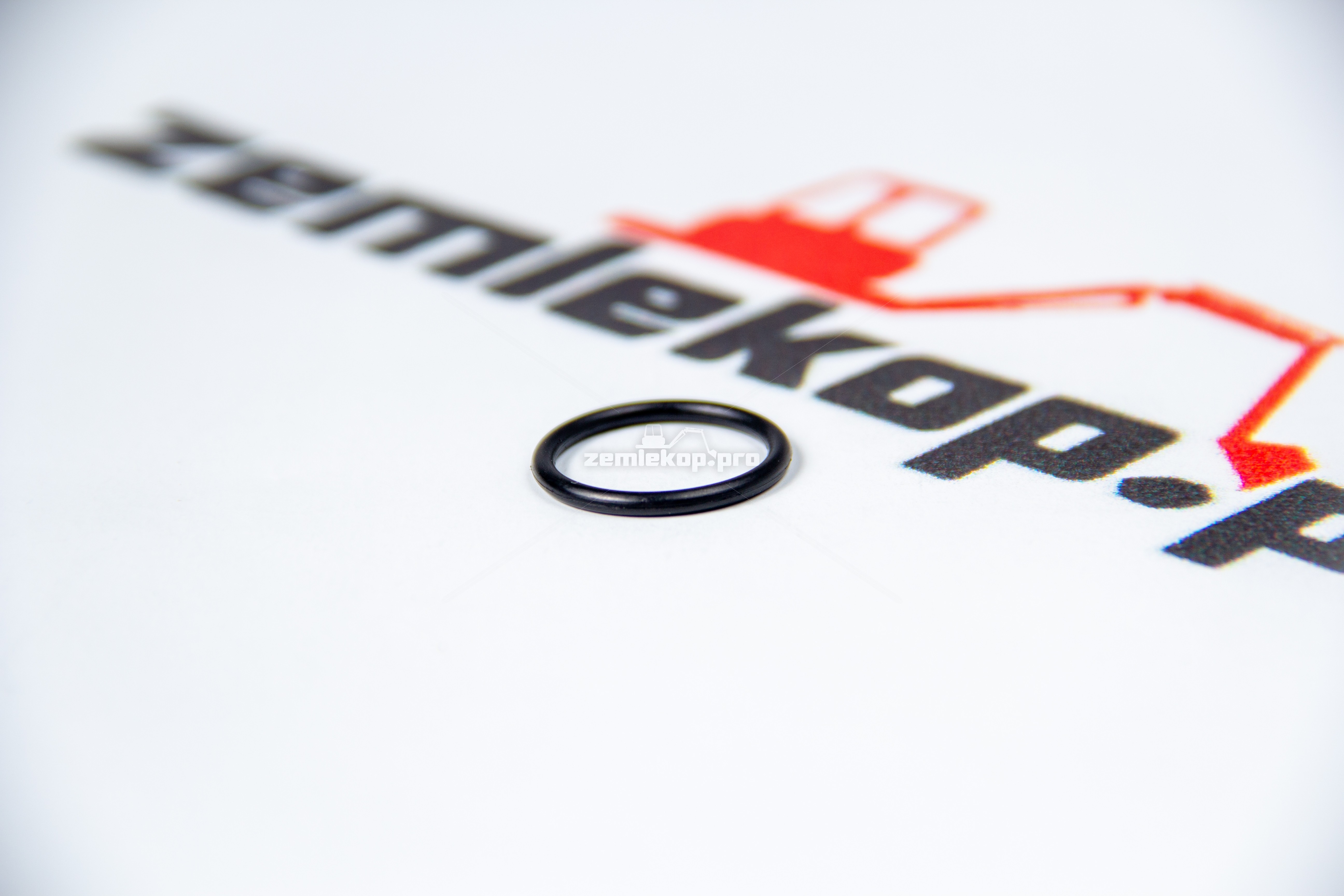 60k20020 О-кольцо DANA