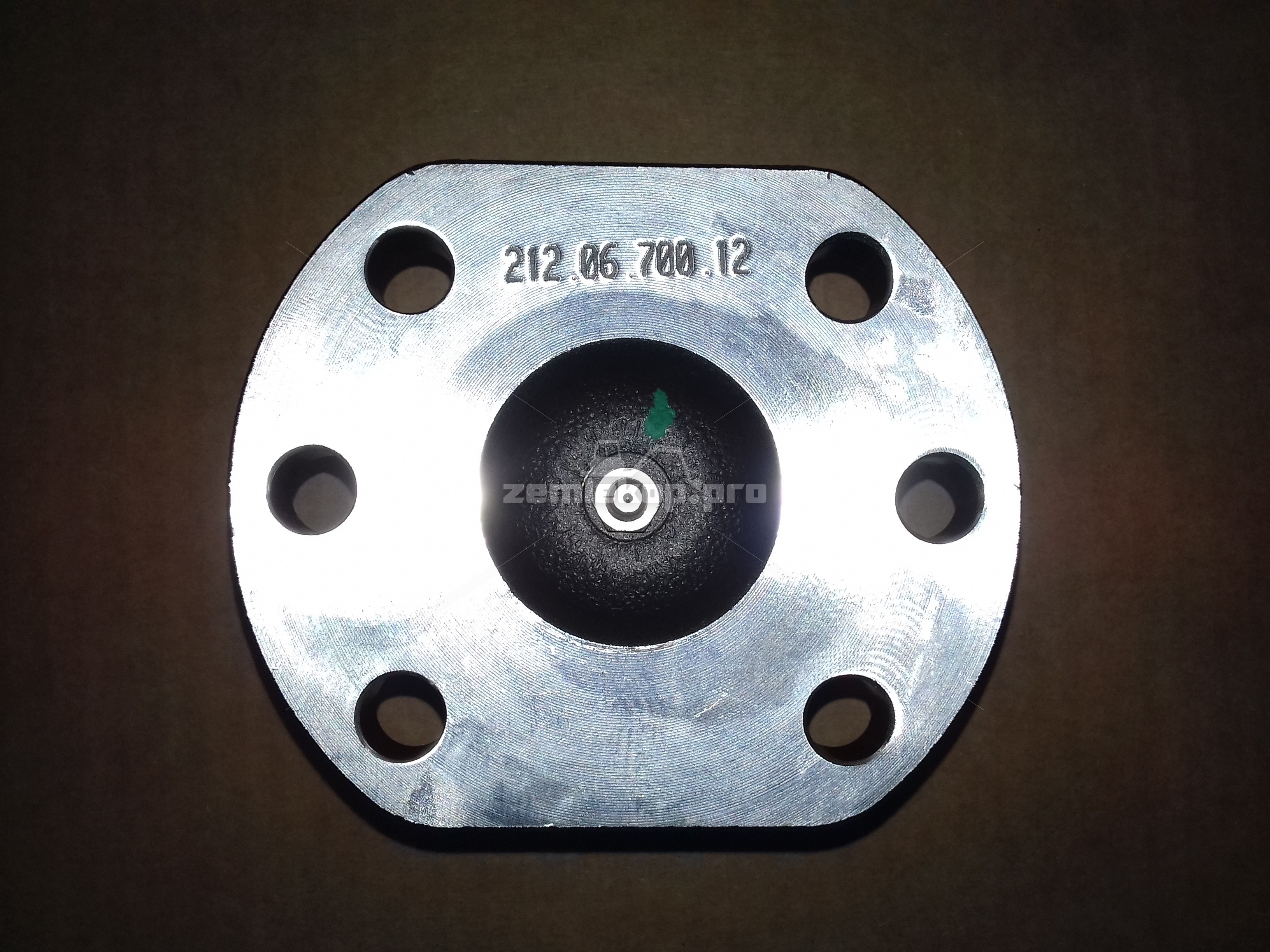 212.06.700.12 Набор шкворня DANA