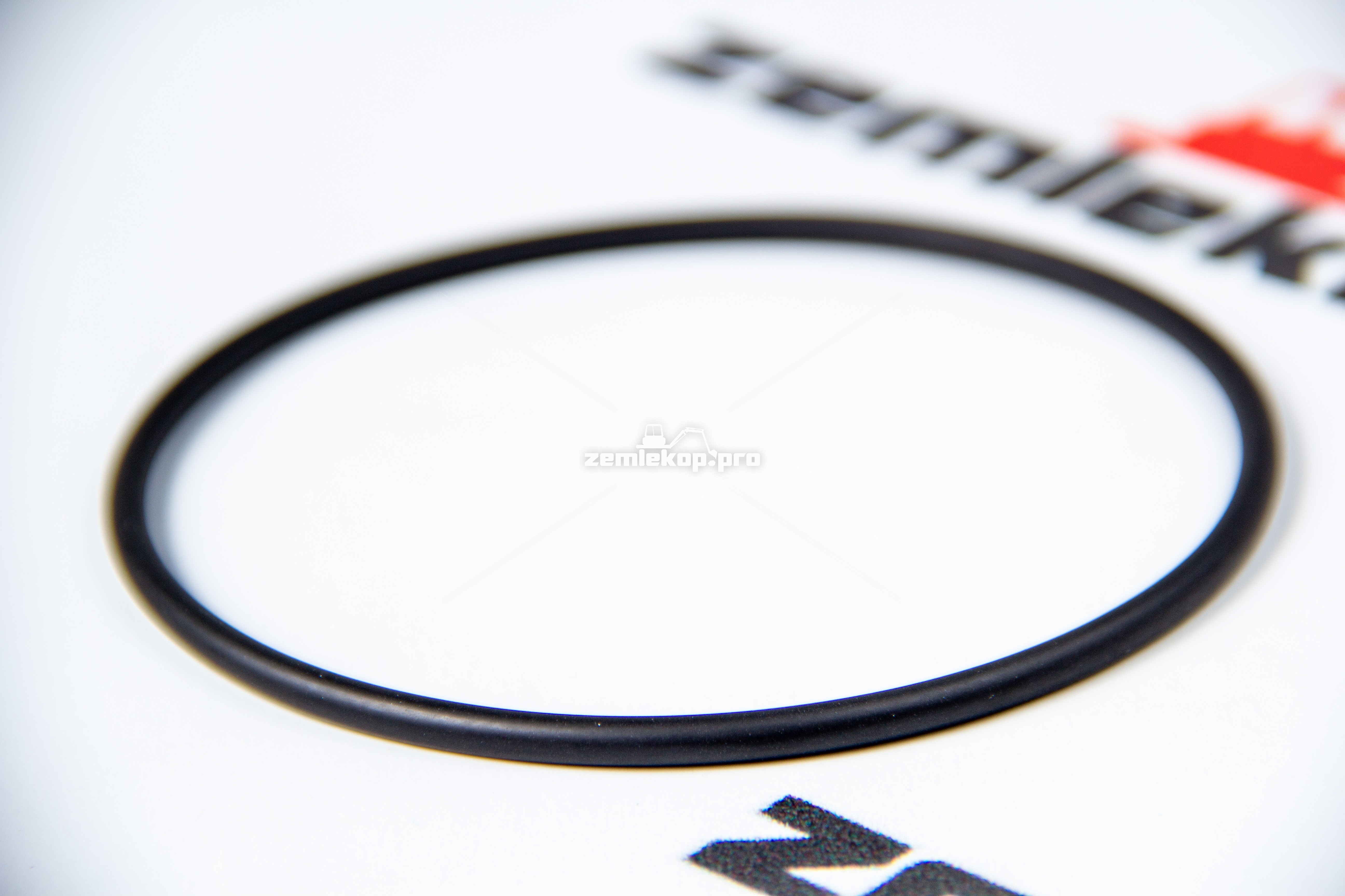 000.3766055M1 О-кольцо DANA