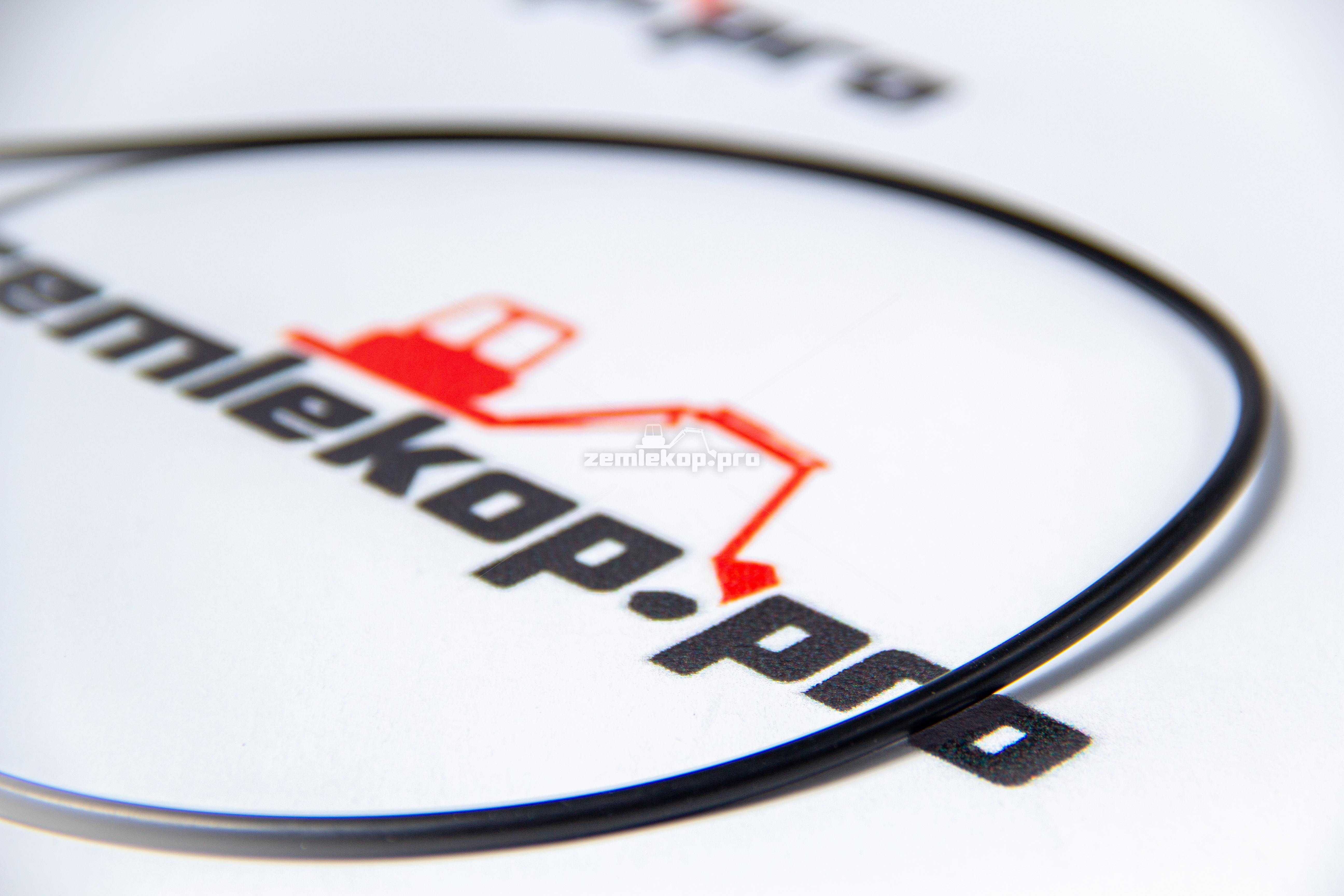 001.05.0731 О-кольцо DANA