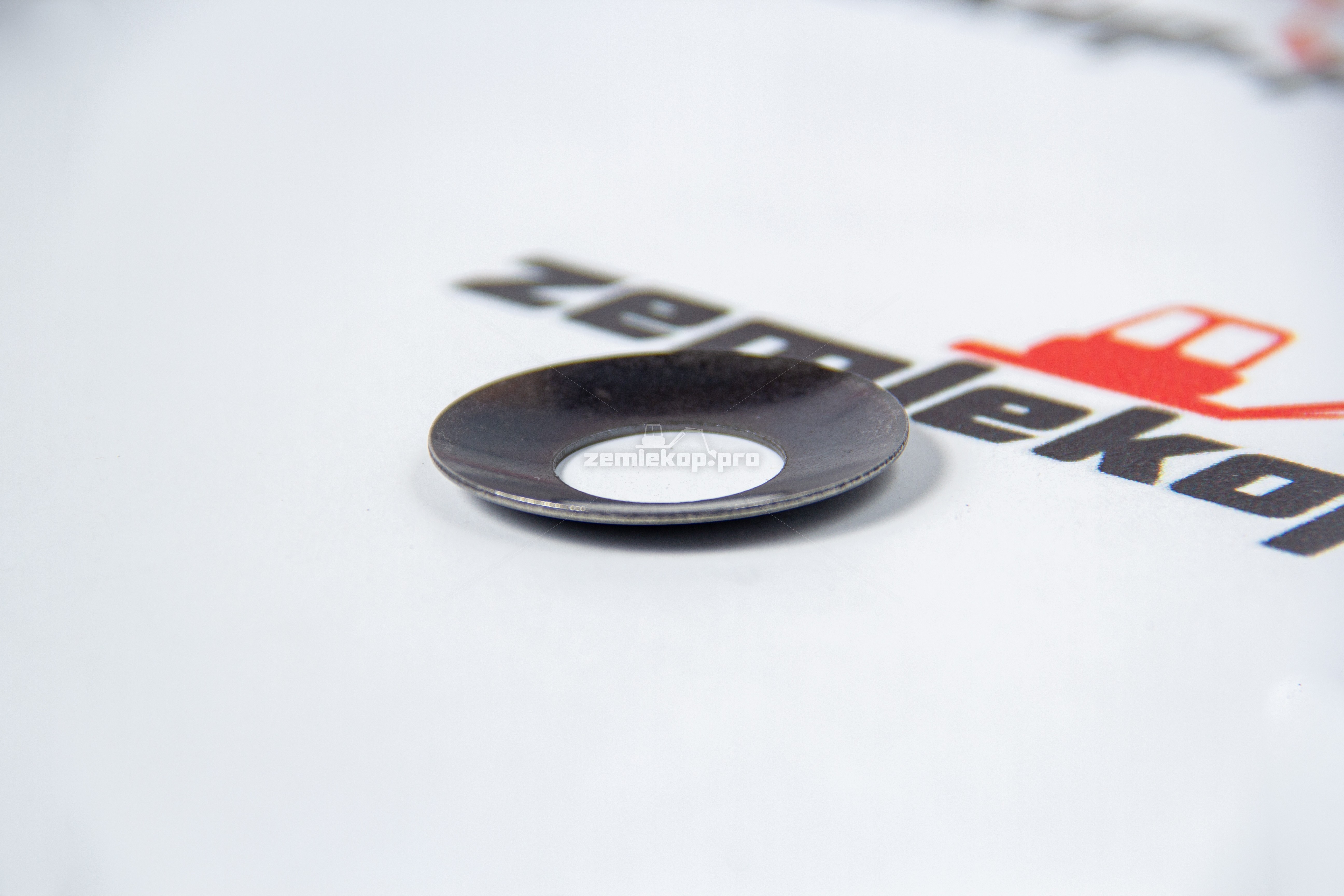 750.04.006.01 Шайба DANA