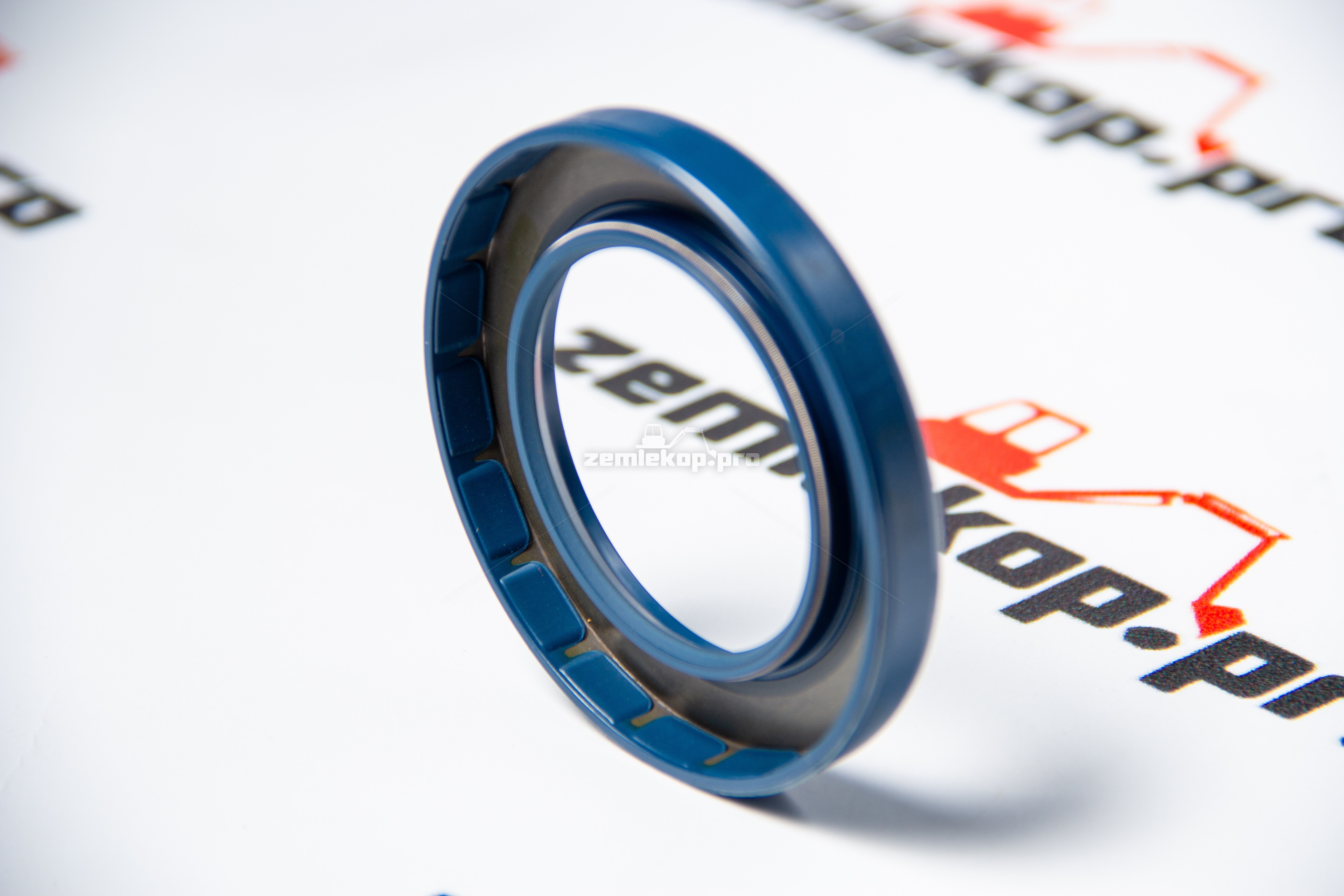 001.01.0019 Сальник DANA