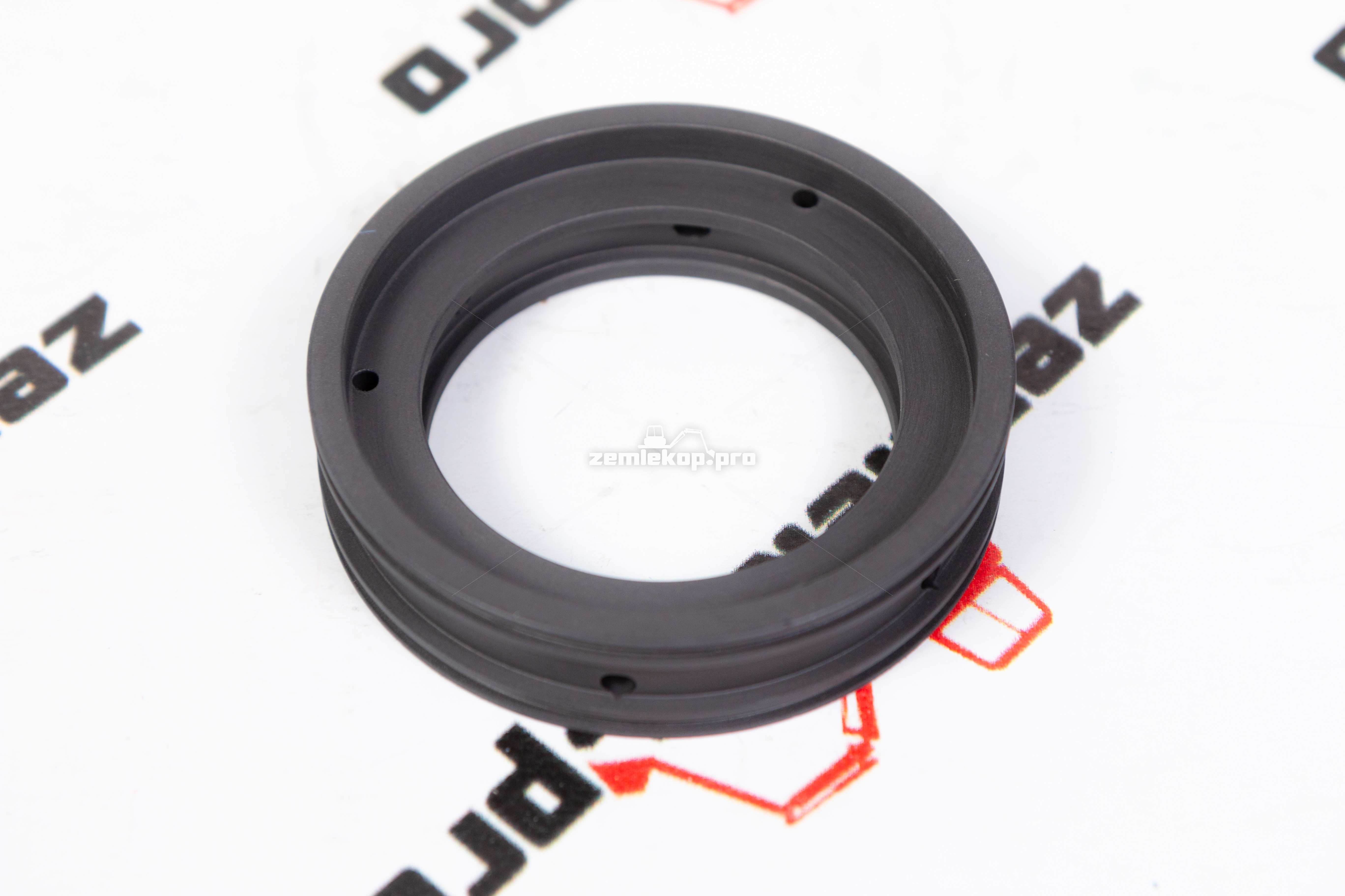 246597 Шайба DANA