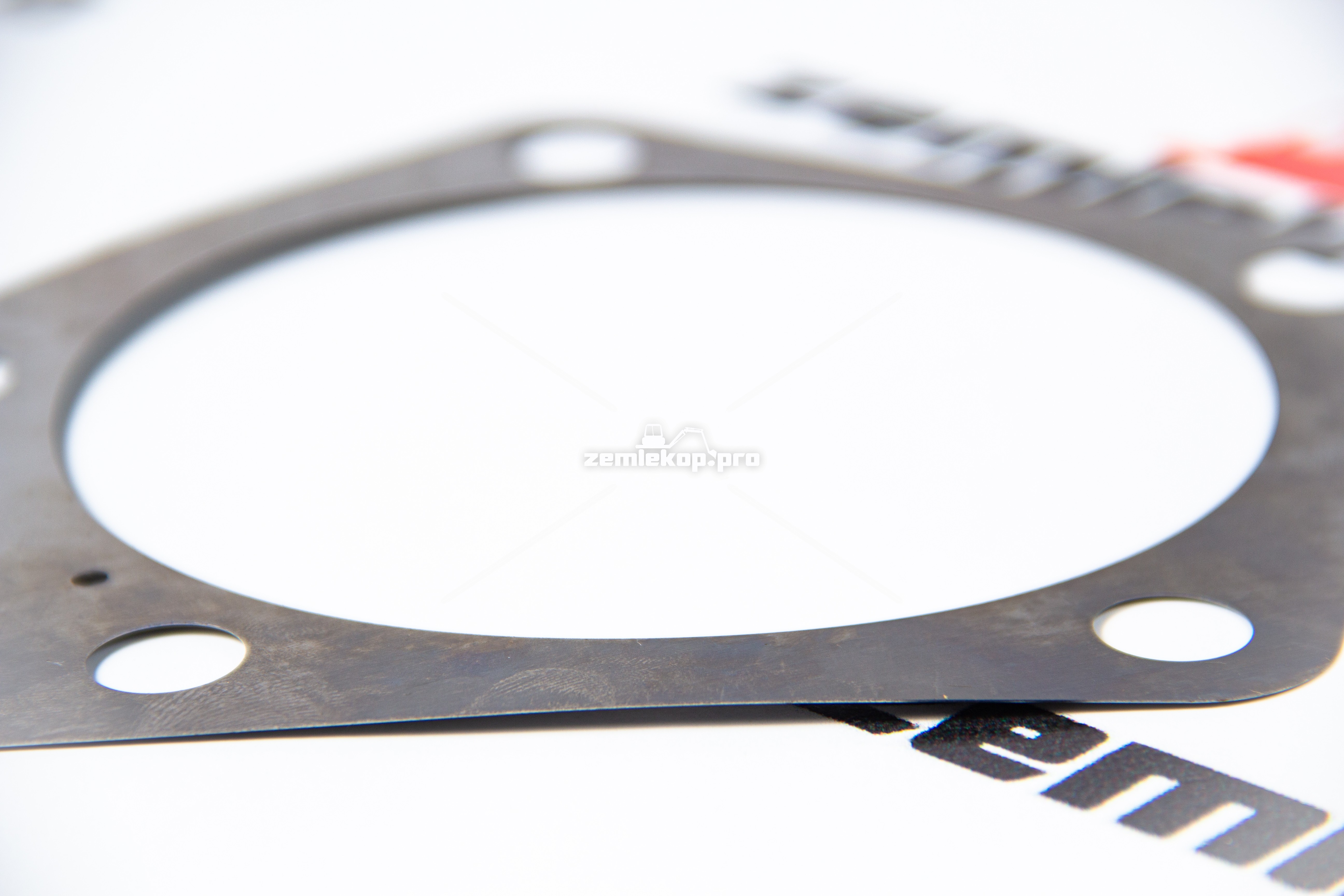 217691 Прокладка DANA