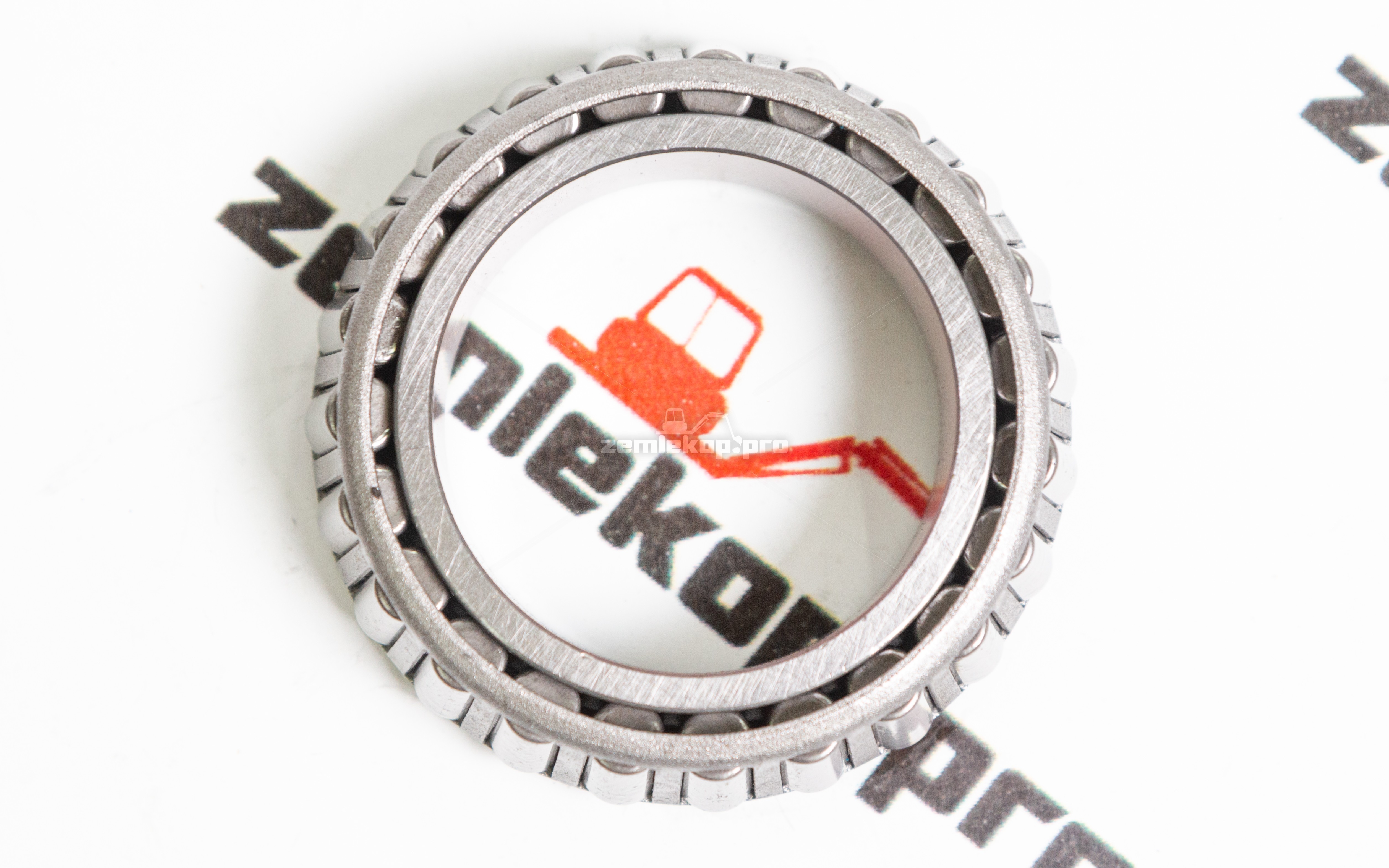 970.06.024.01 Подшипник DANA