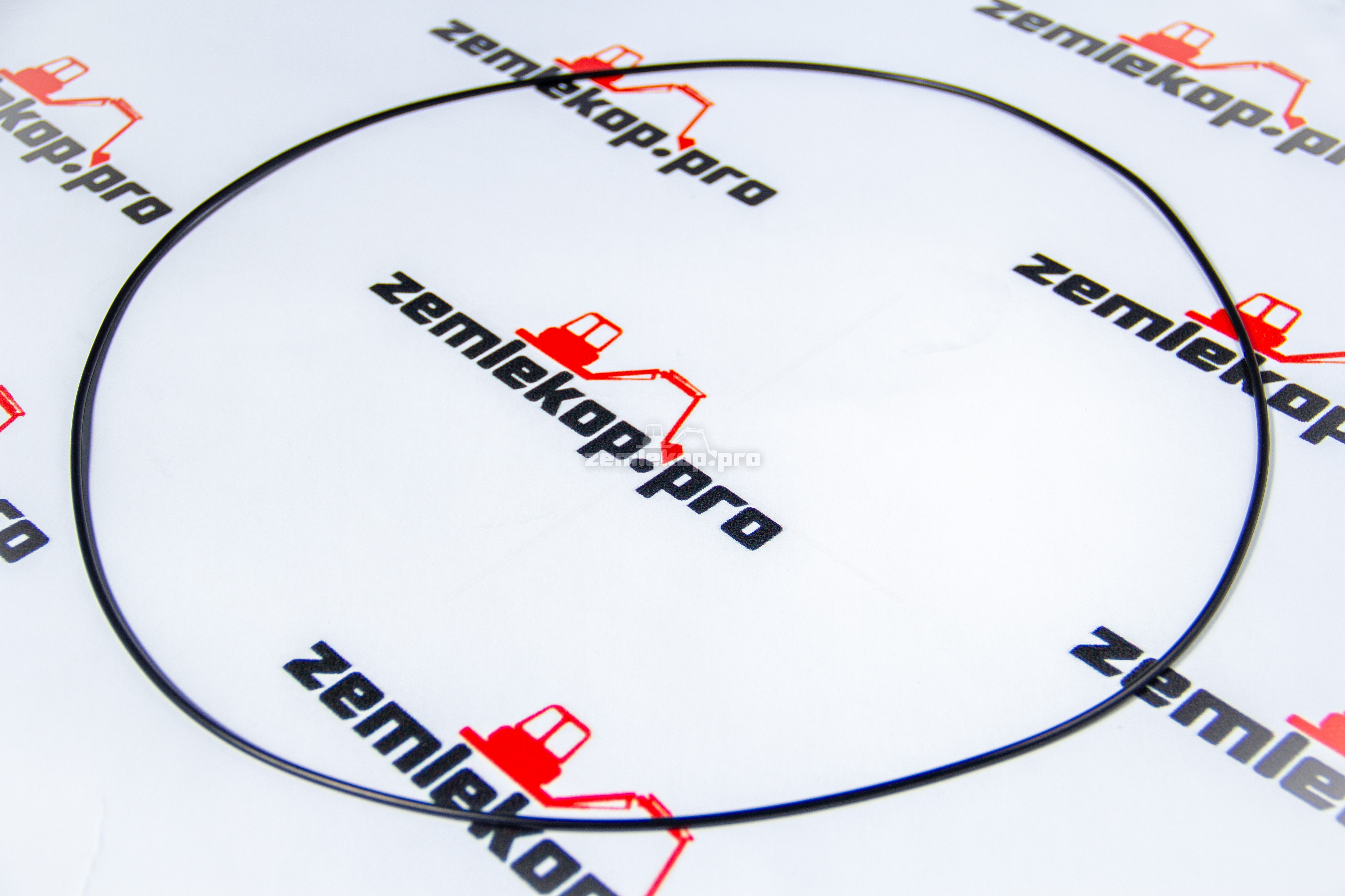 001.05.3927 Сальник DANA