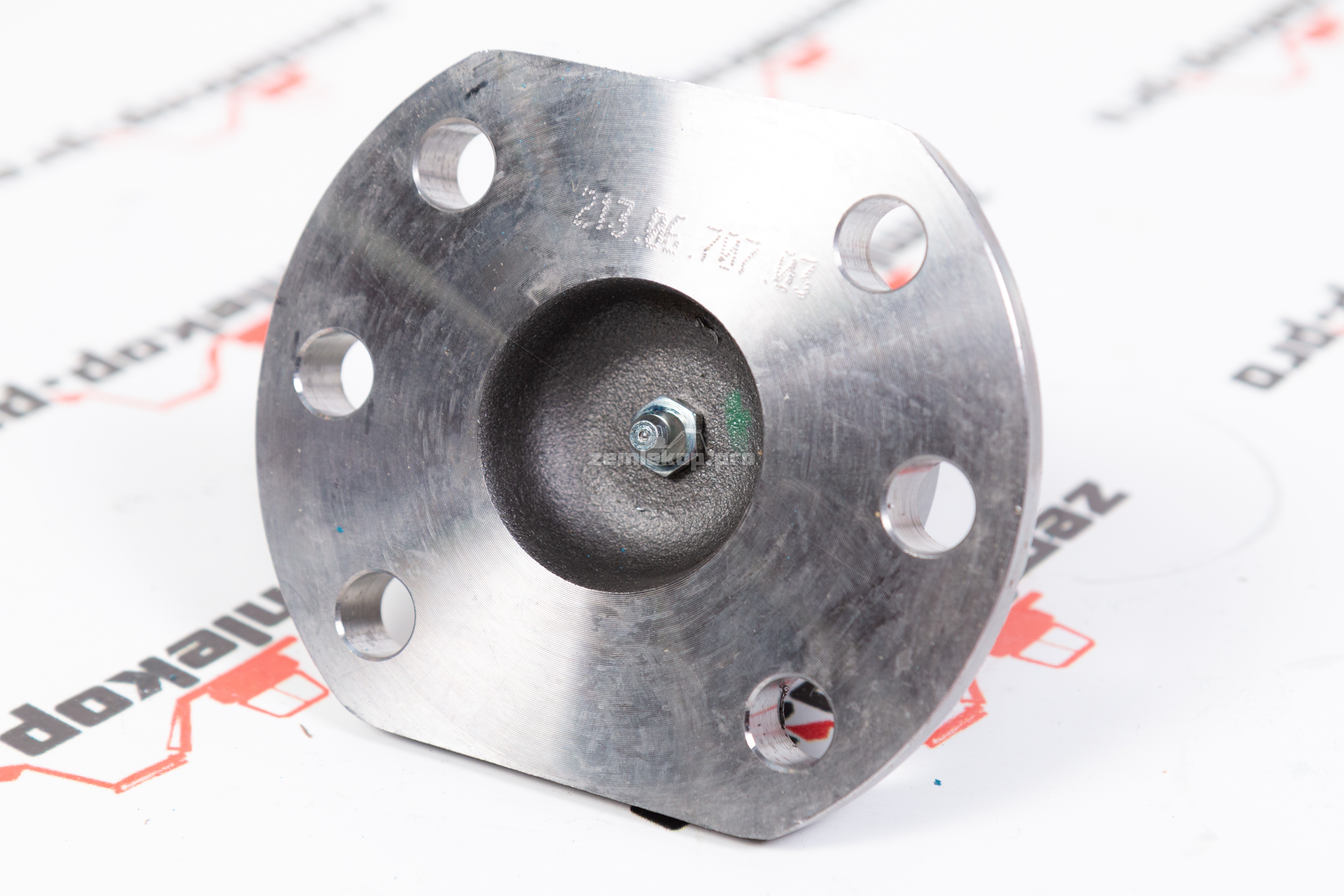 213.06.701.04 Шкворень DANA