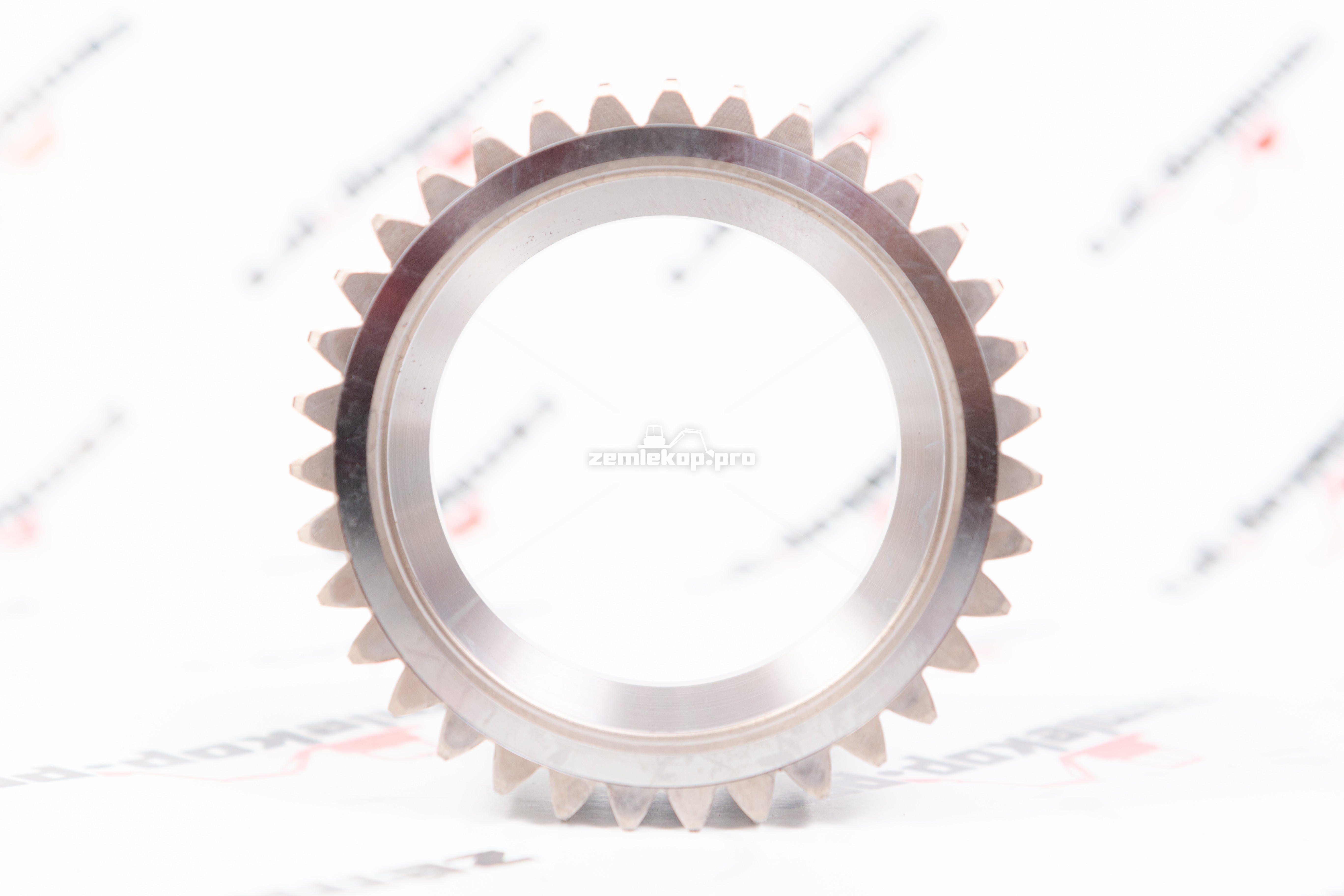 755.06.008.01 Сателлит DANA