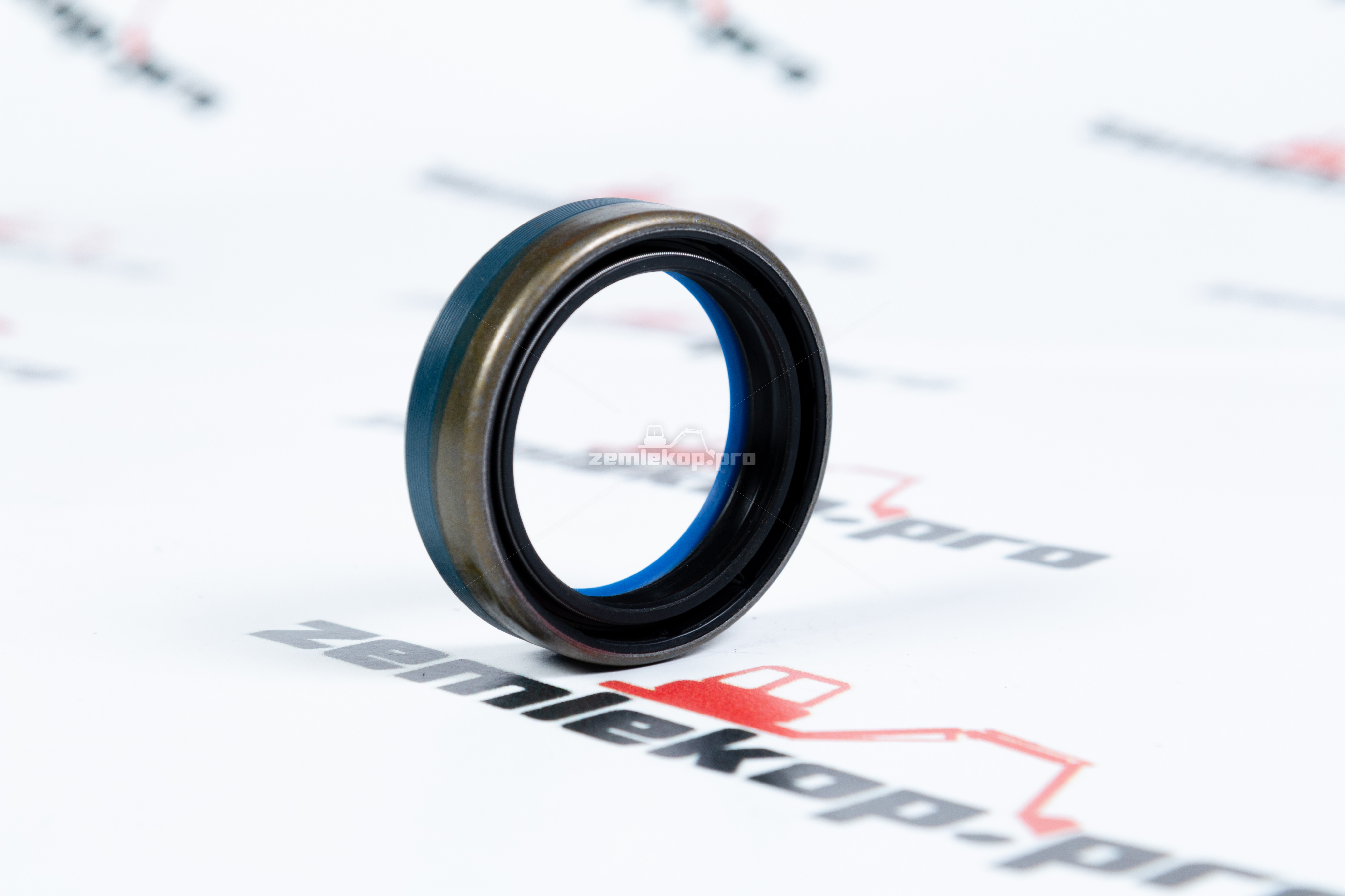 211.06.020.01 Сальник DANA