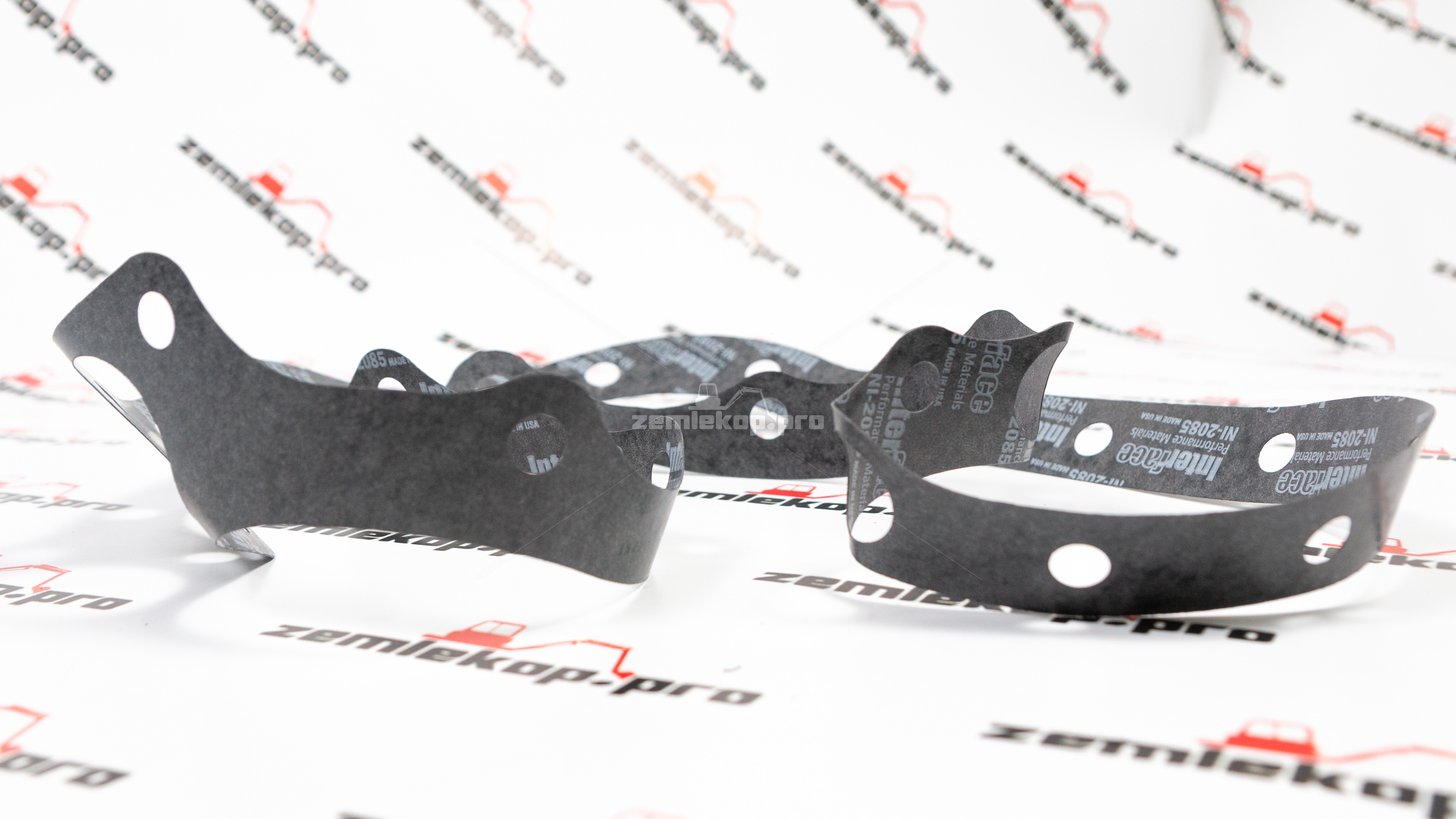 249731 Прокладка DANA