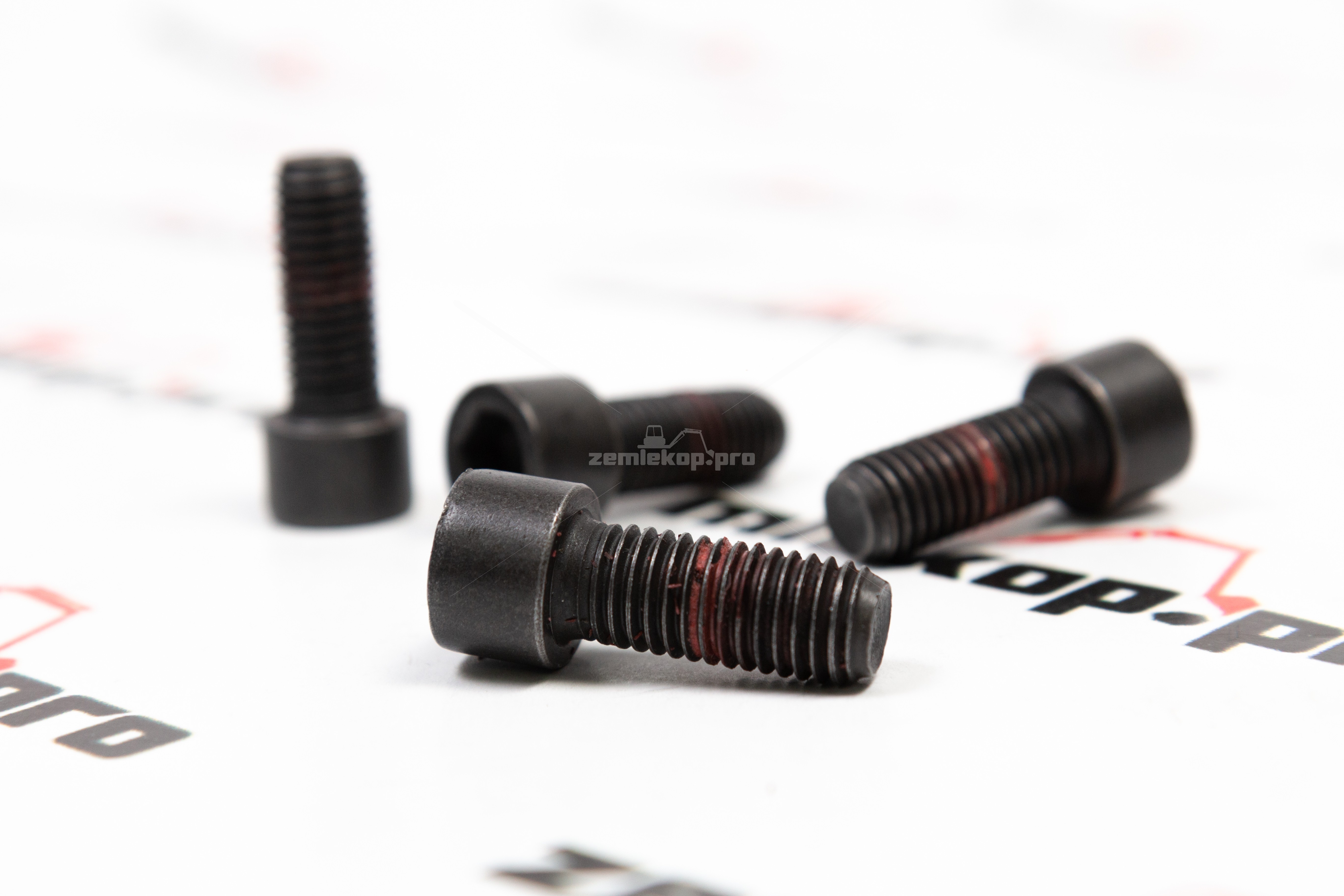 016.30.3719-R Болт DANA