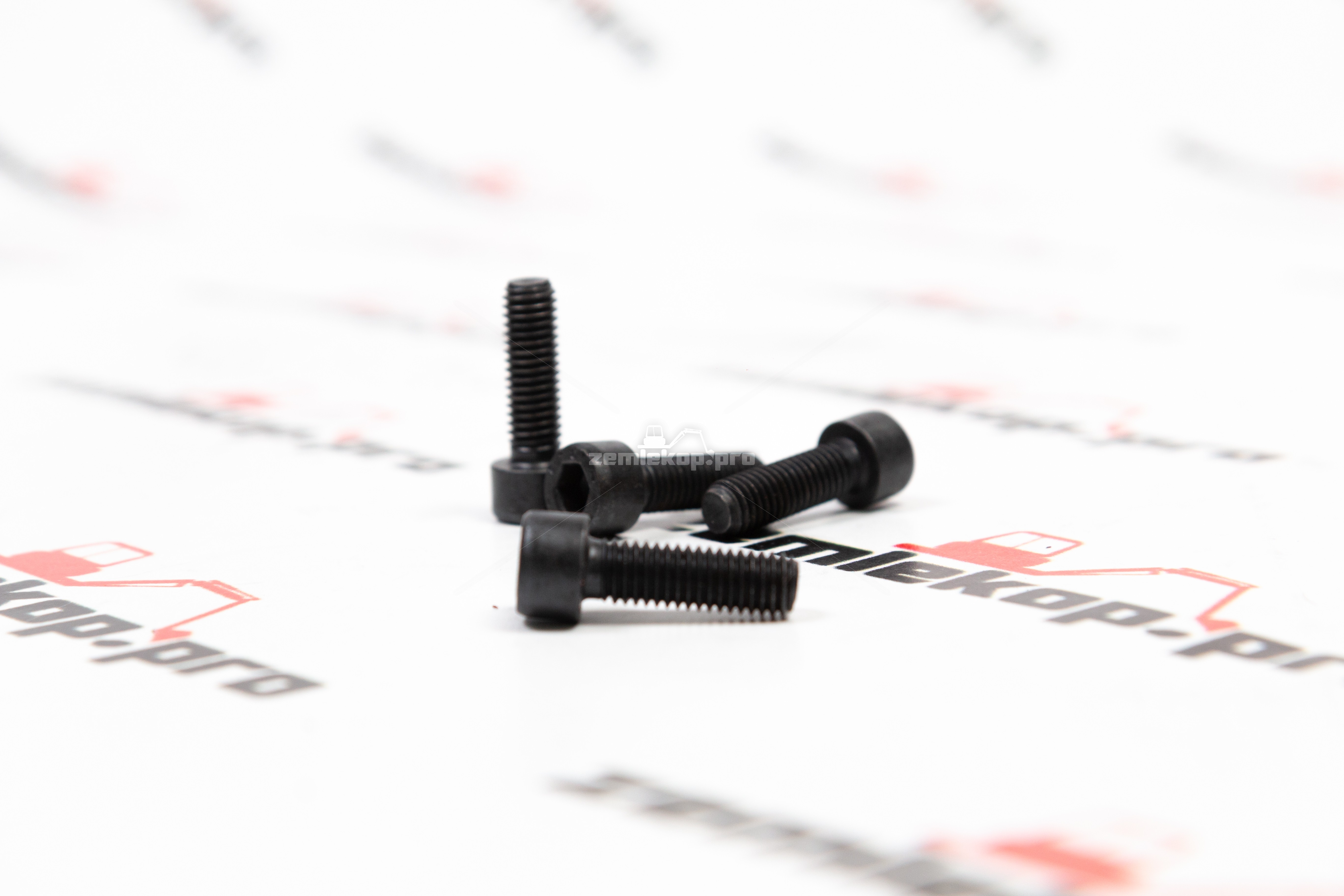 016.30.4289-R Болт DANA