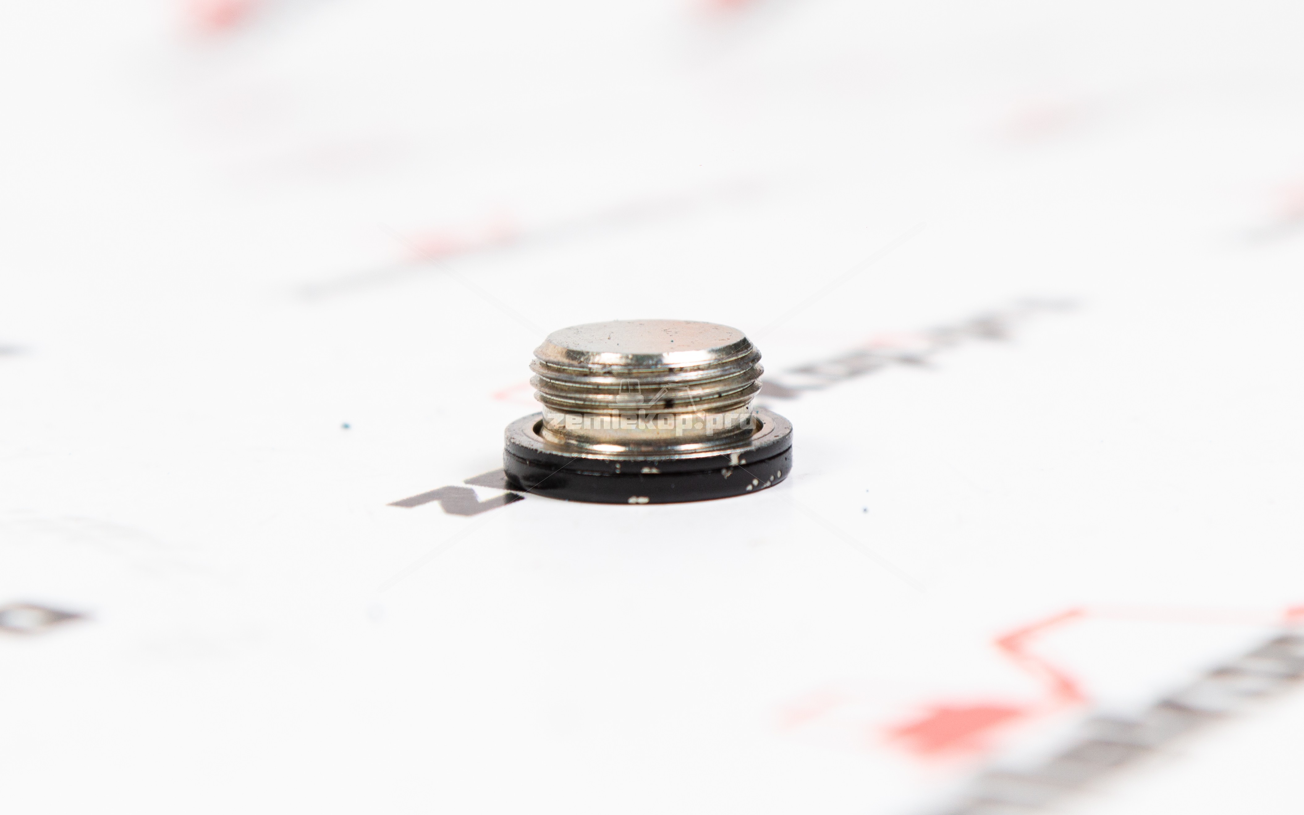 112.01.610.01-R Пробка DANA