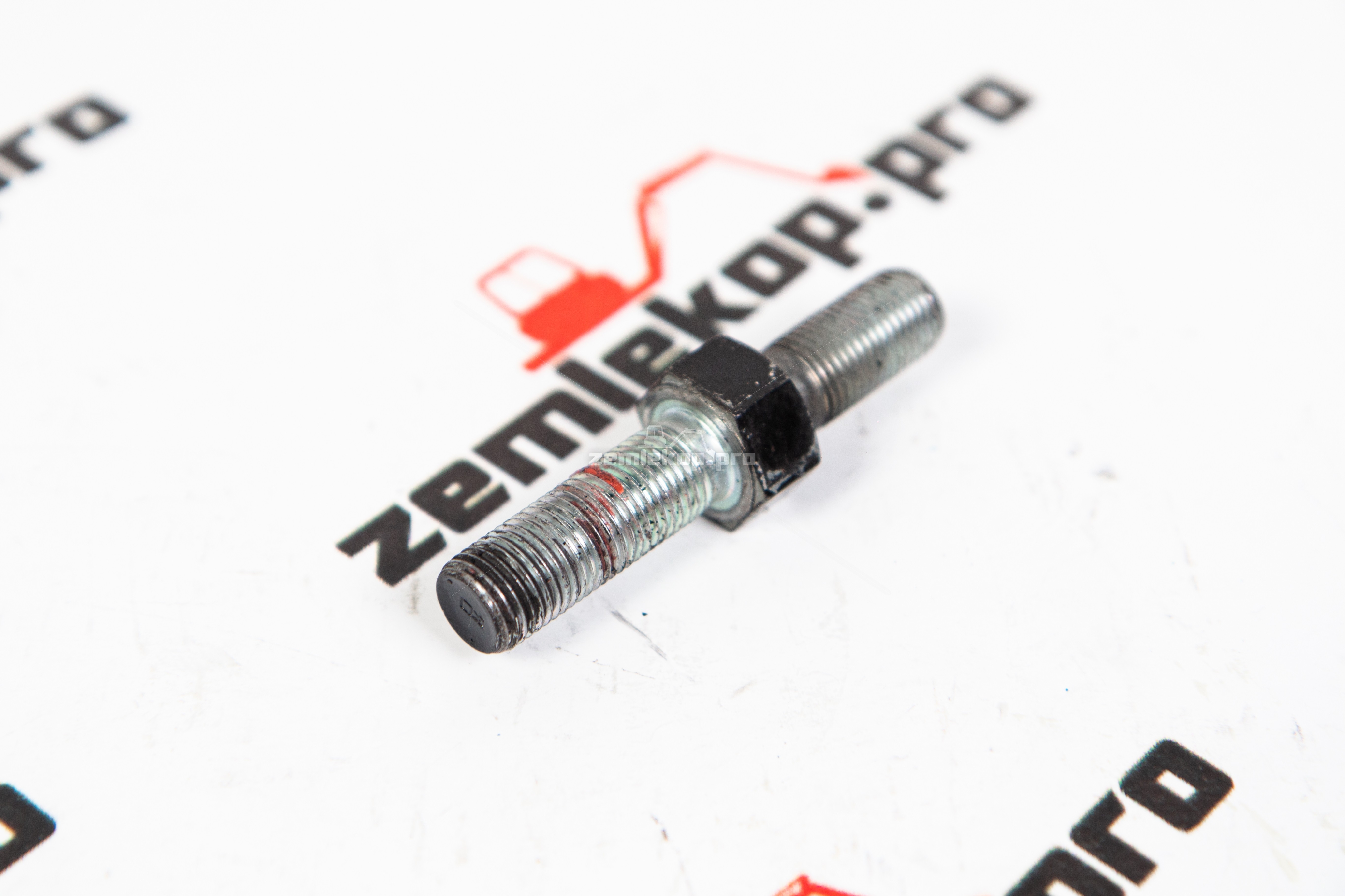 223.06.013.01-R Шпилька DANA