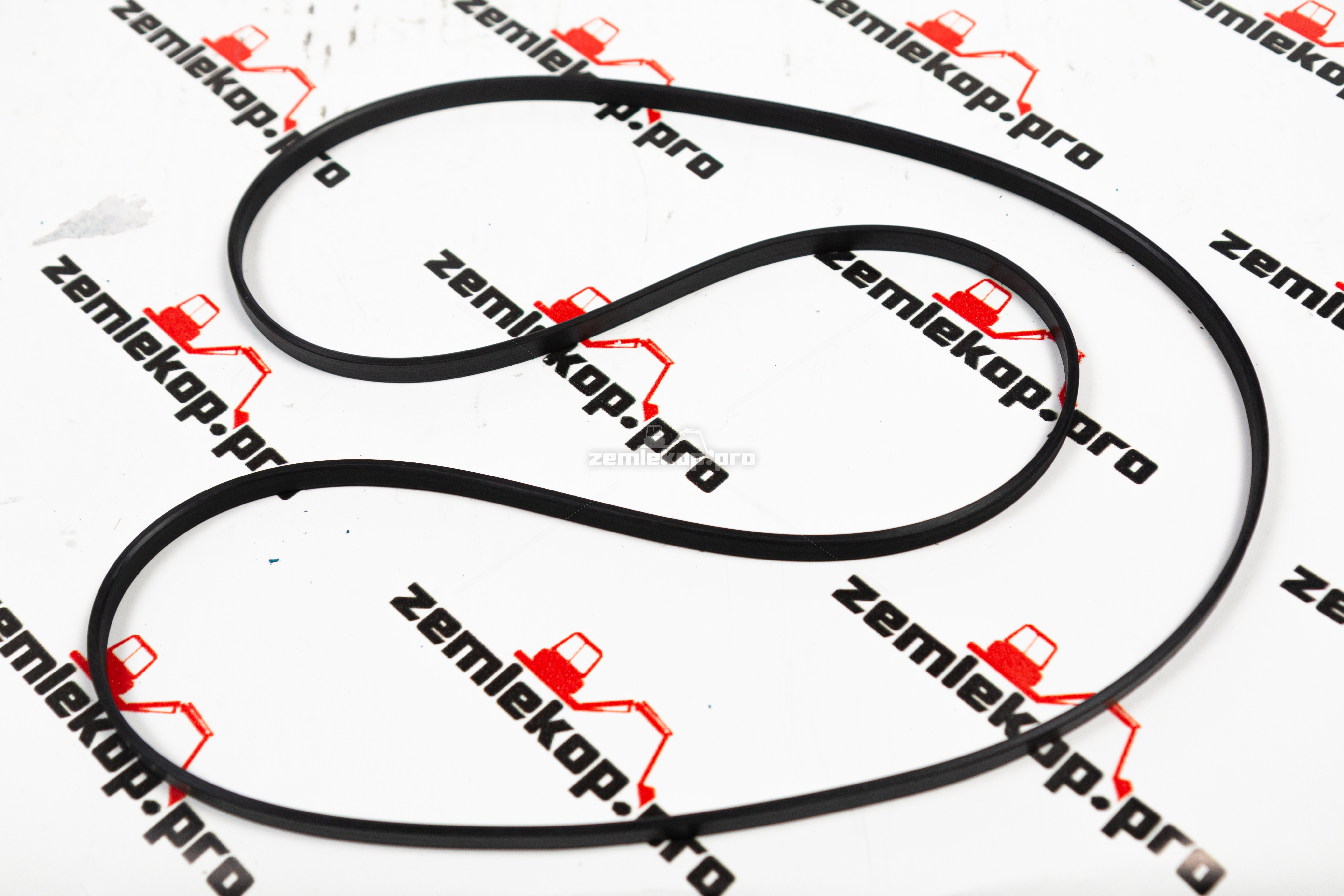 229804 Прокладка DANA