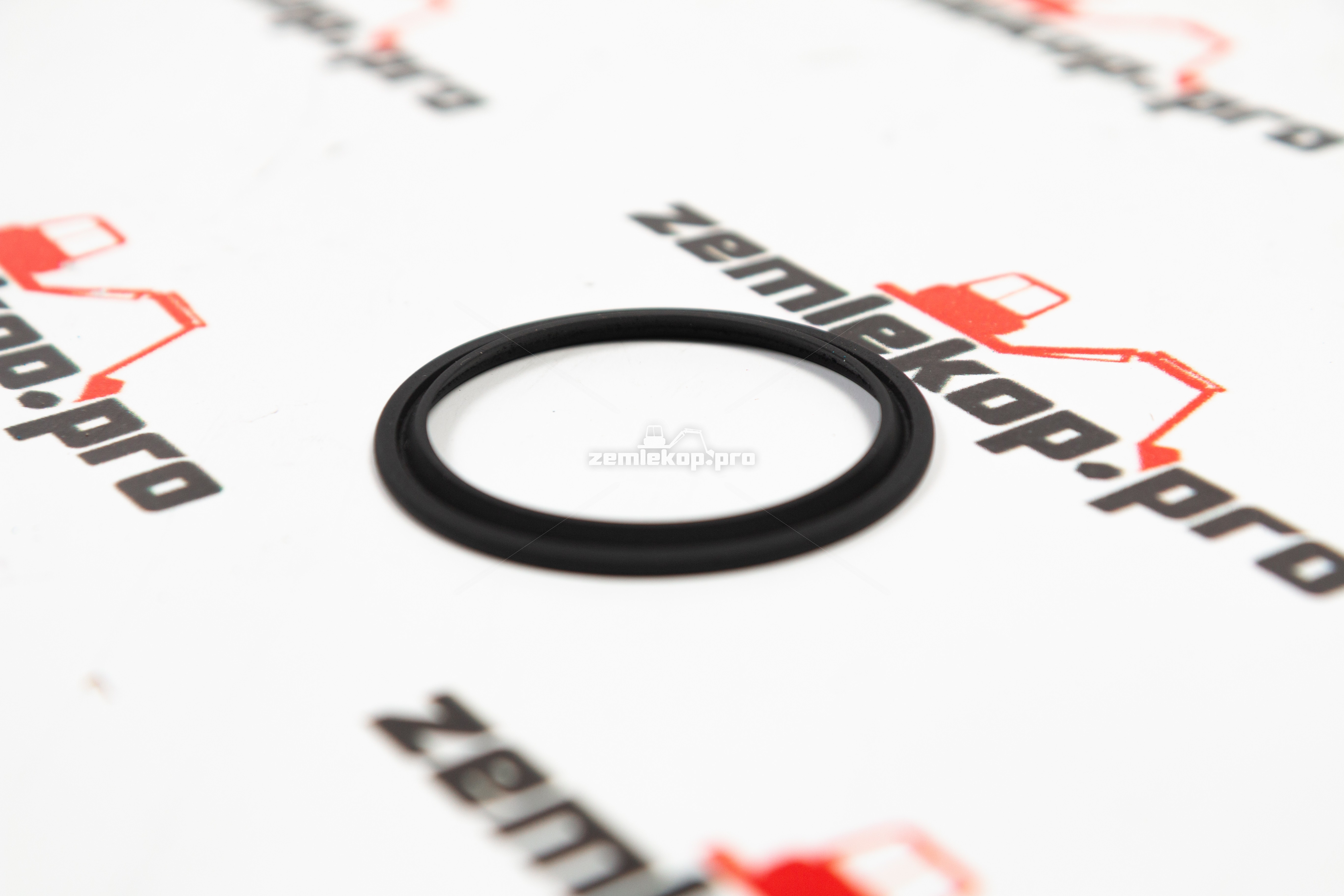 230857 Сальник DANA