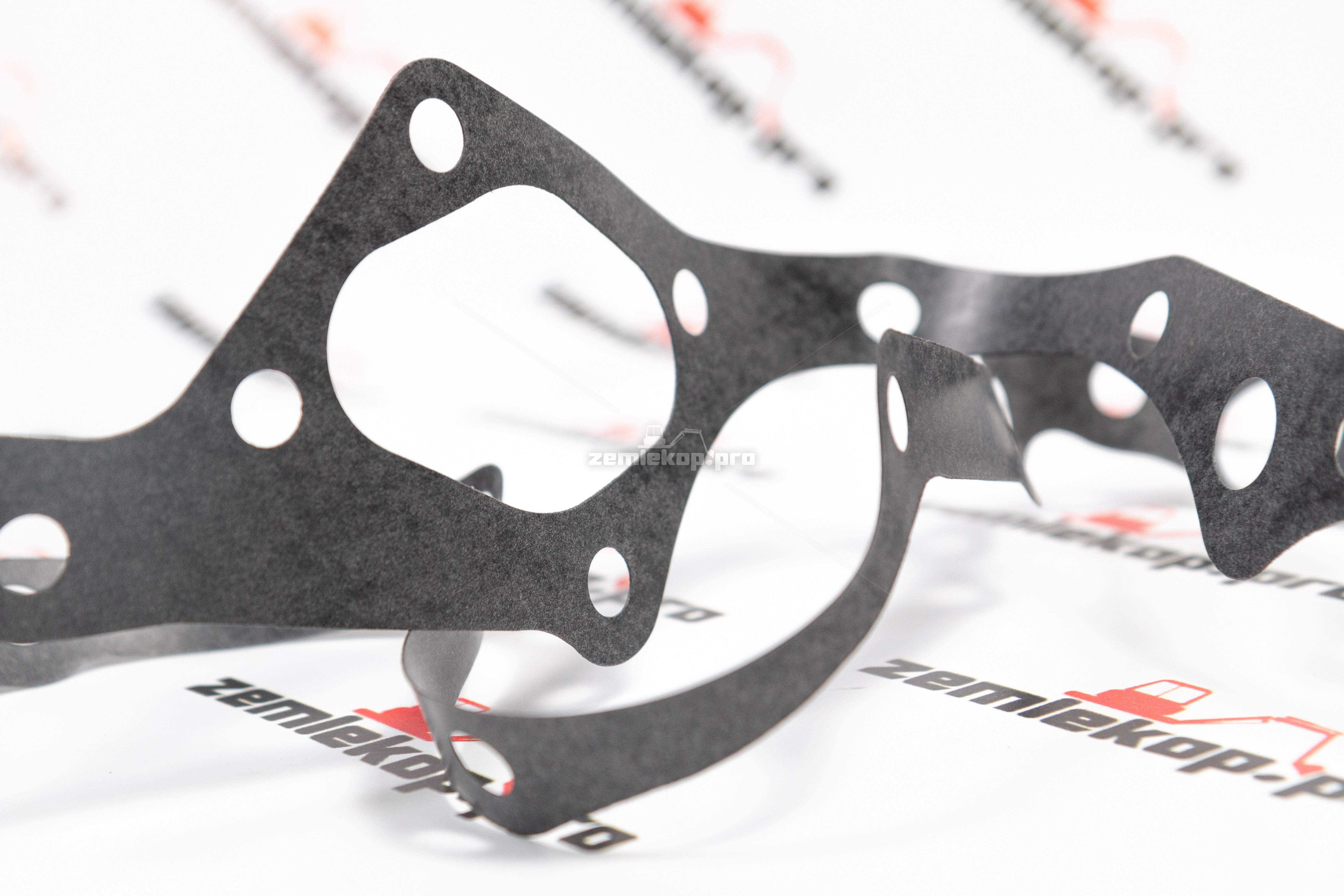 231606 Прокладка DANA (большая)