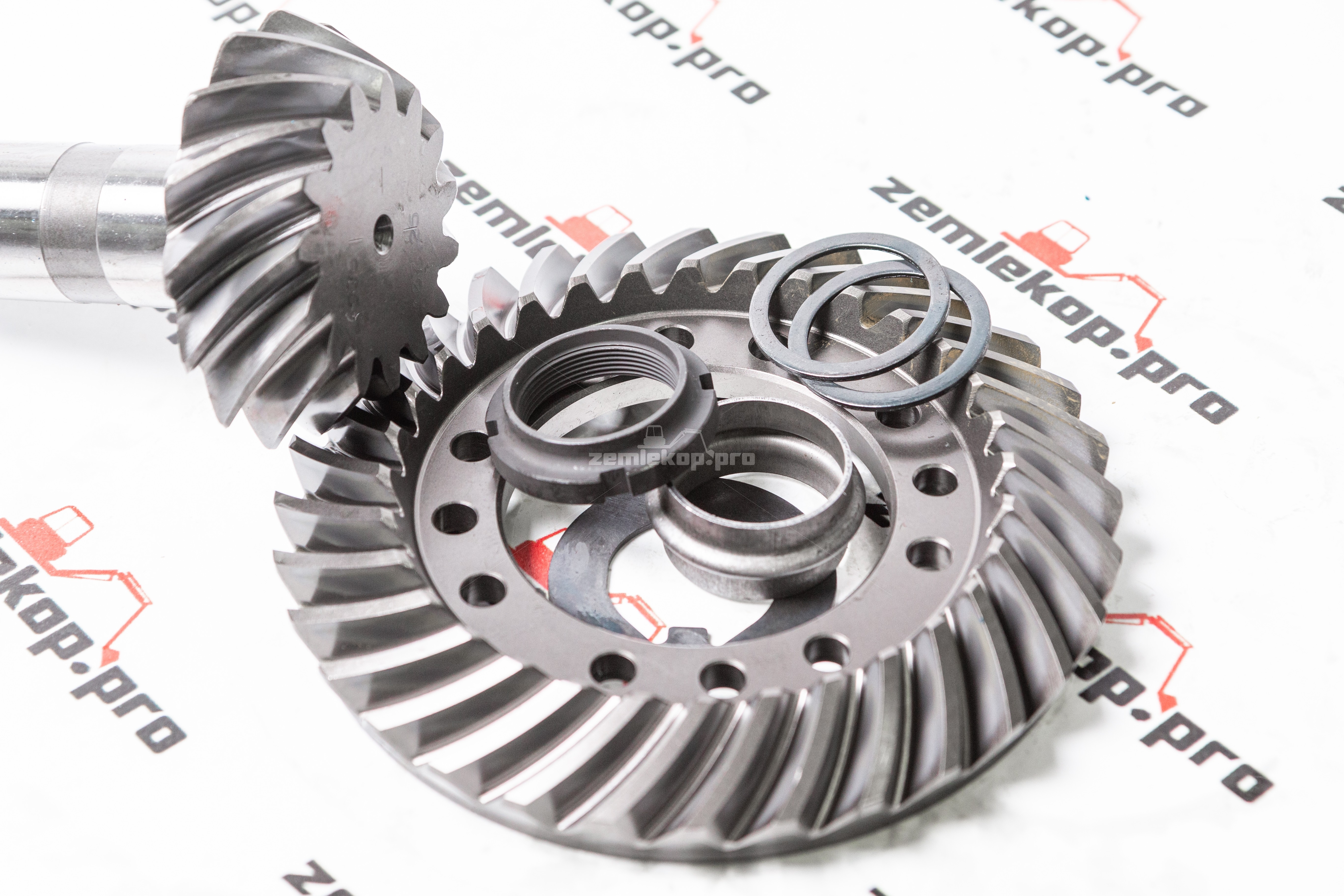 65596 Главная пара