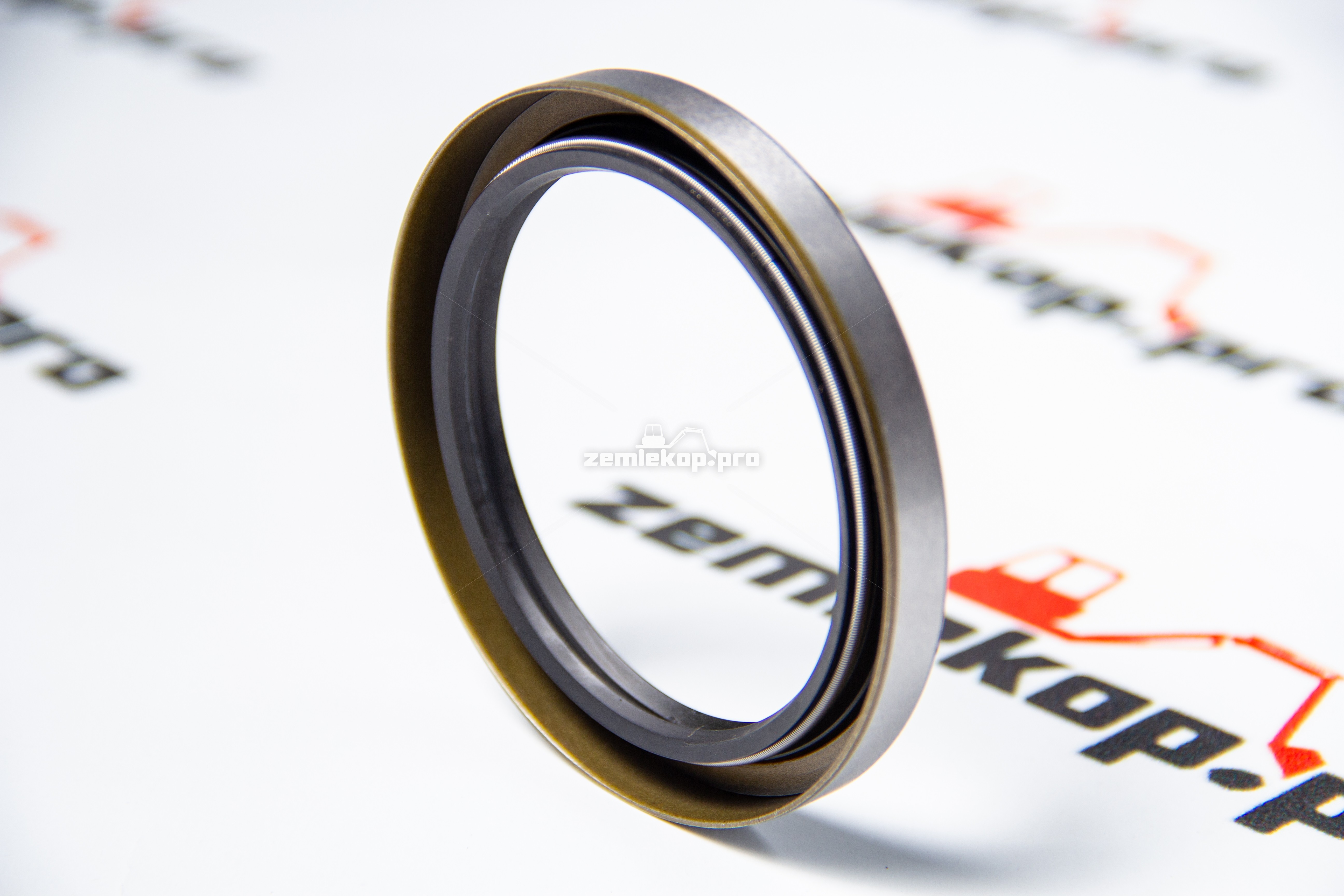 231884 Сальник DANA