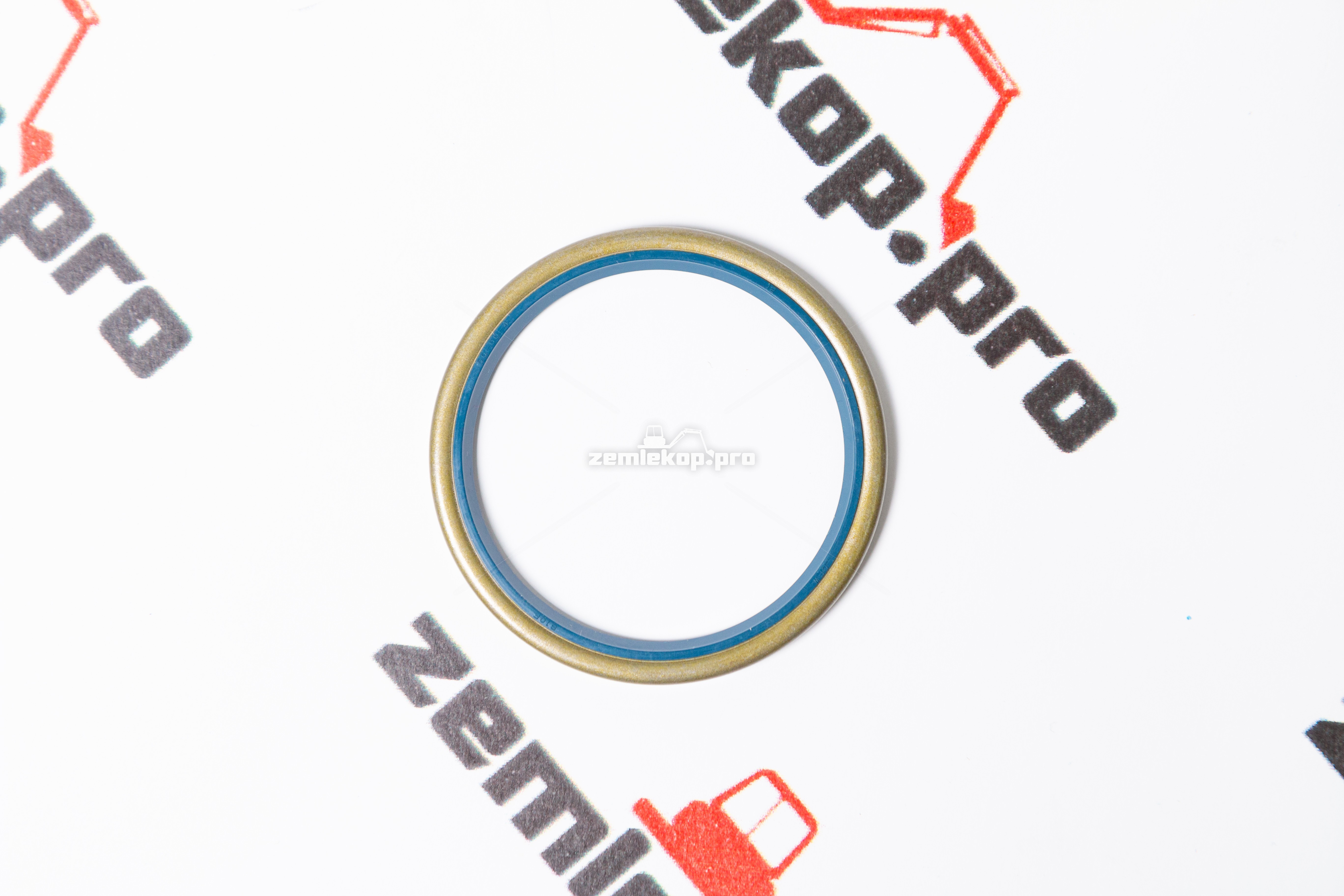 120717 Сальник